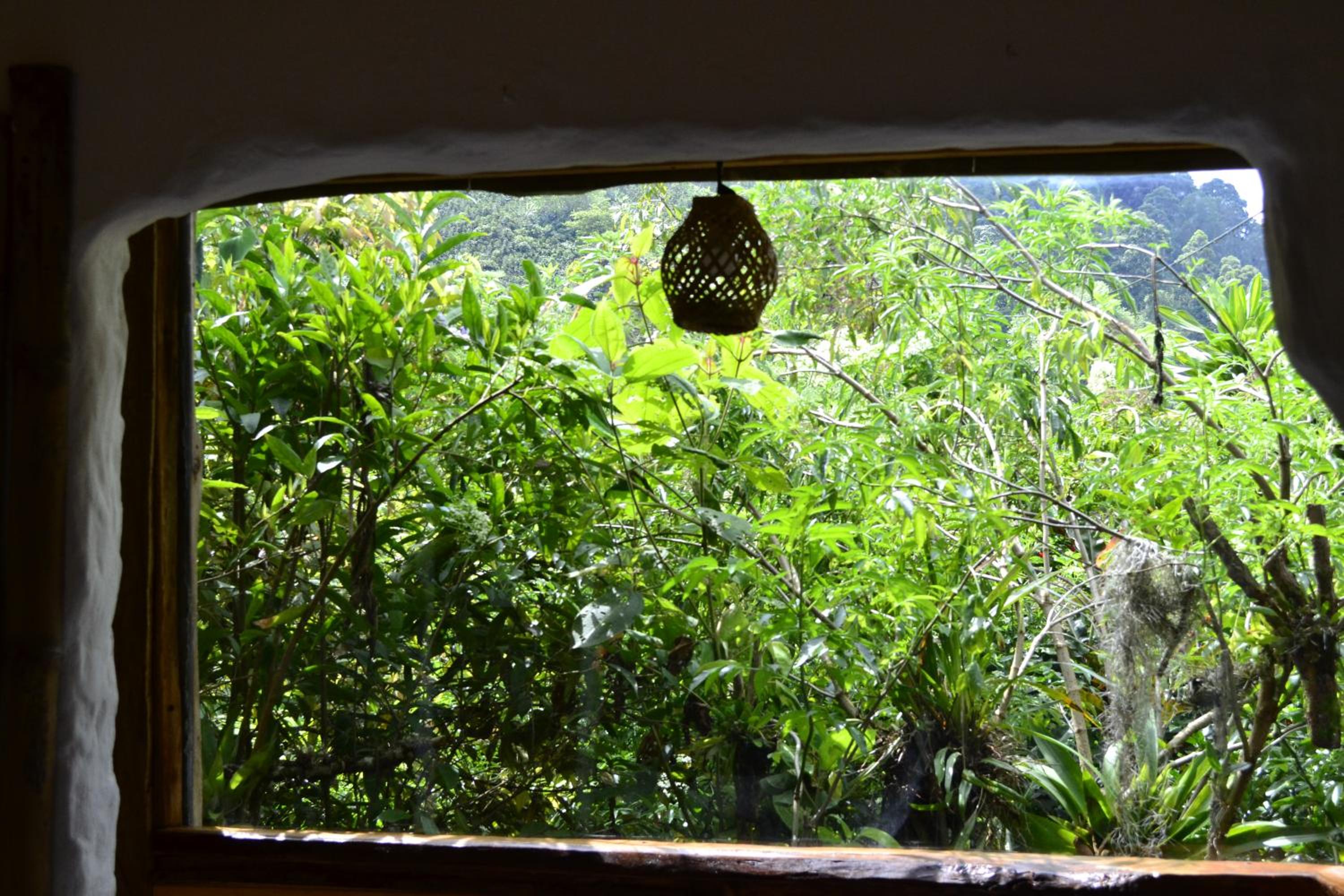Habitación Las Bromelias, Pijao, Finca Flora del Rio
