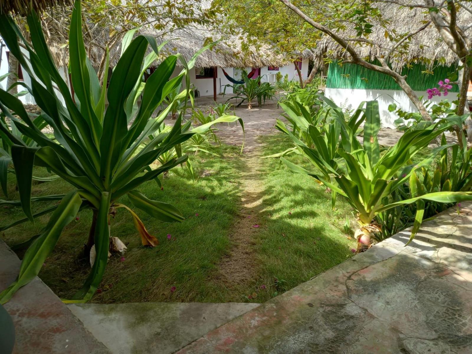 Photo 41