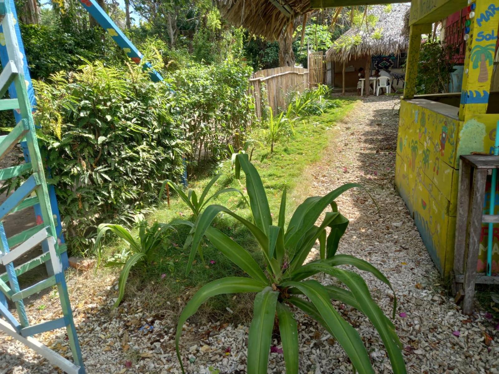 Photo 42