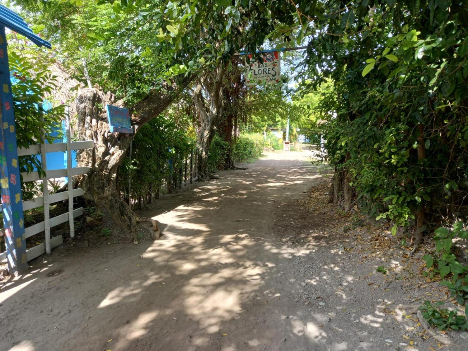 Photo 43