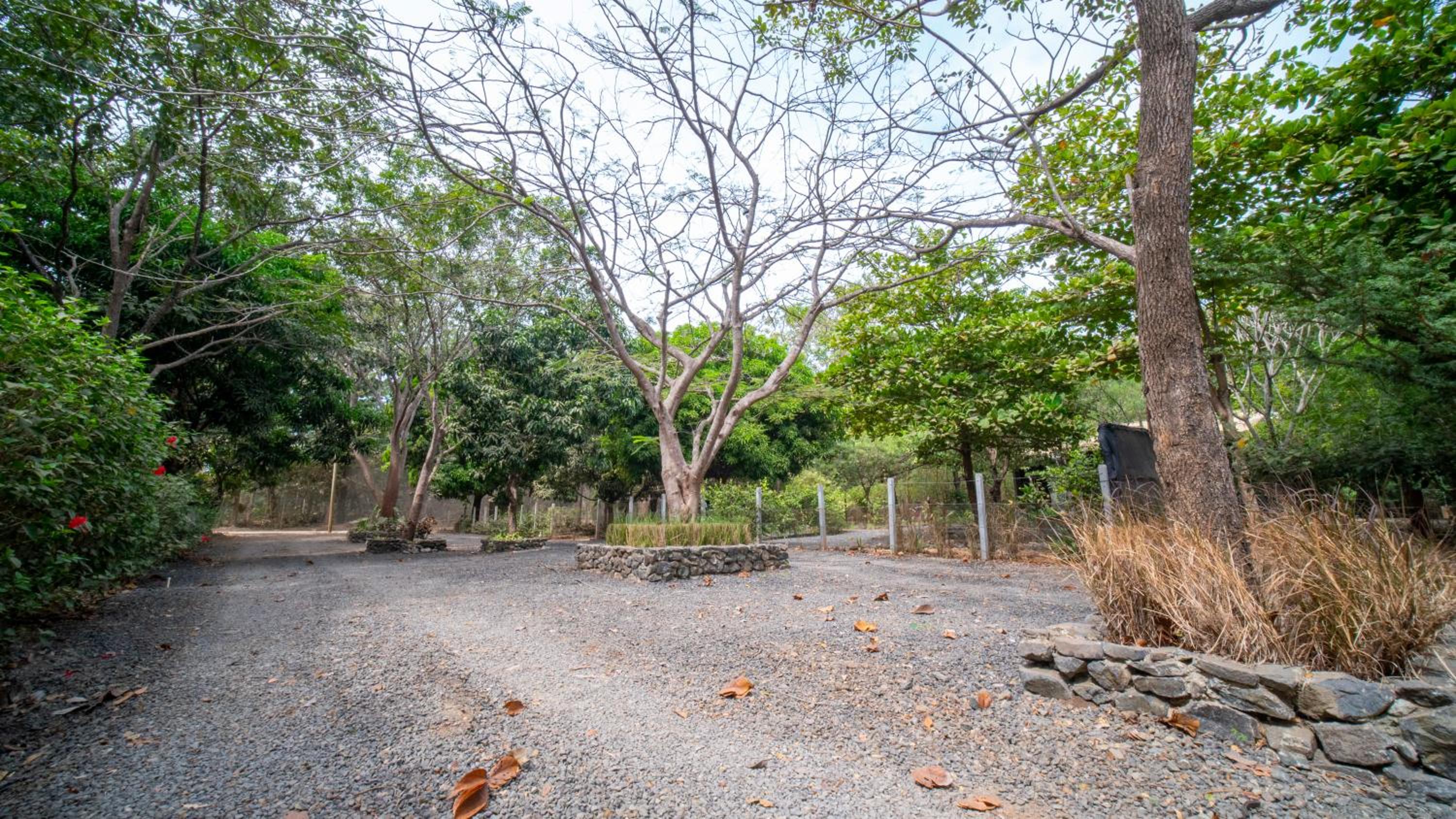 Las Avellanas Villas