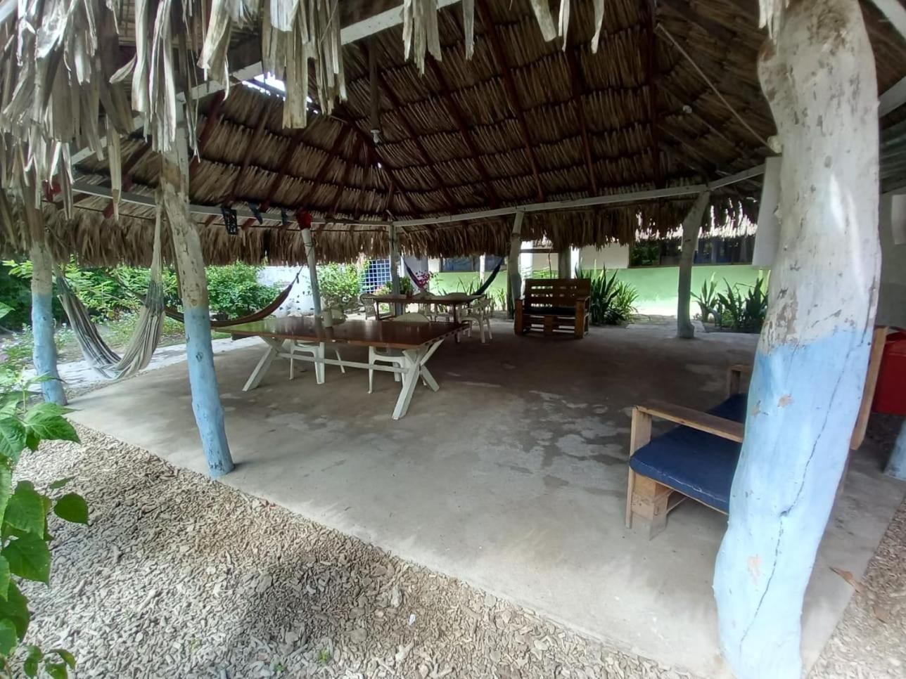 Photo 46