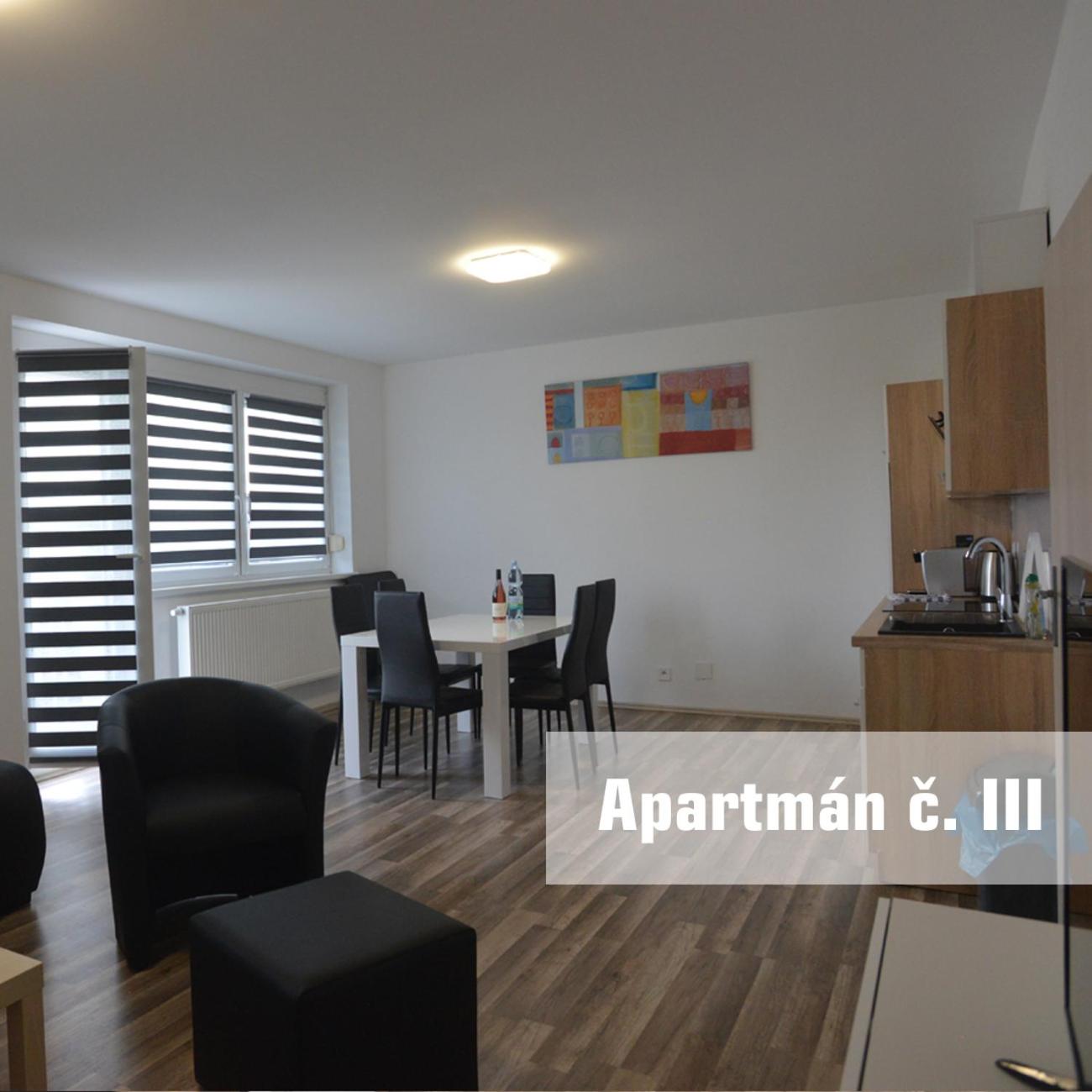Apartmány U koupaliště view 4