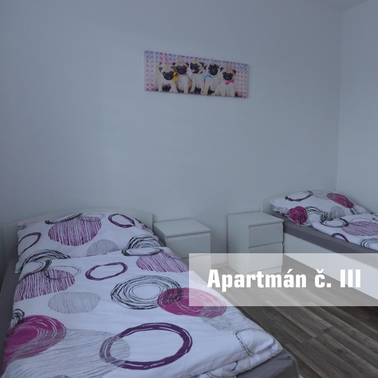 Apartmány U koupaliště view 2