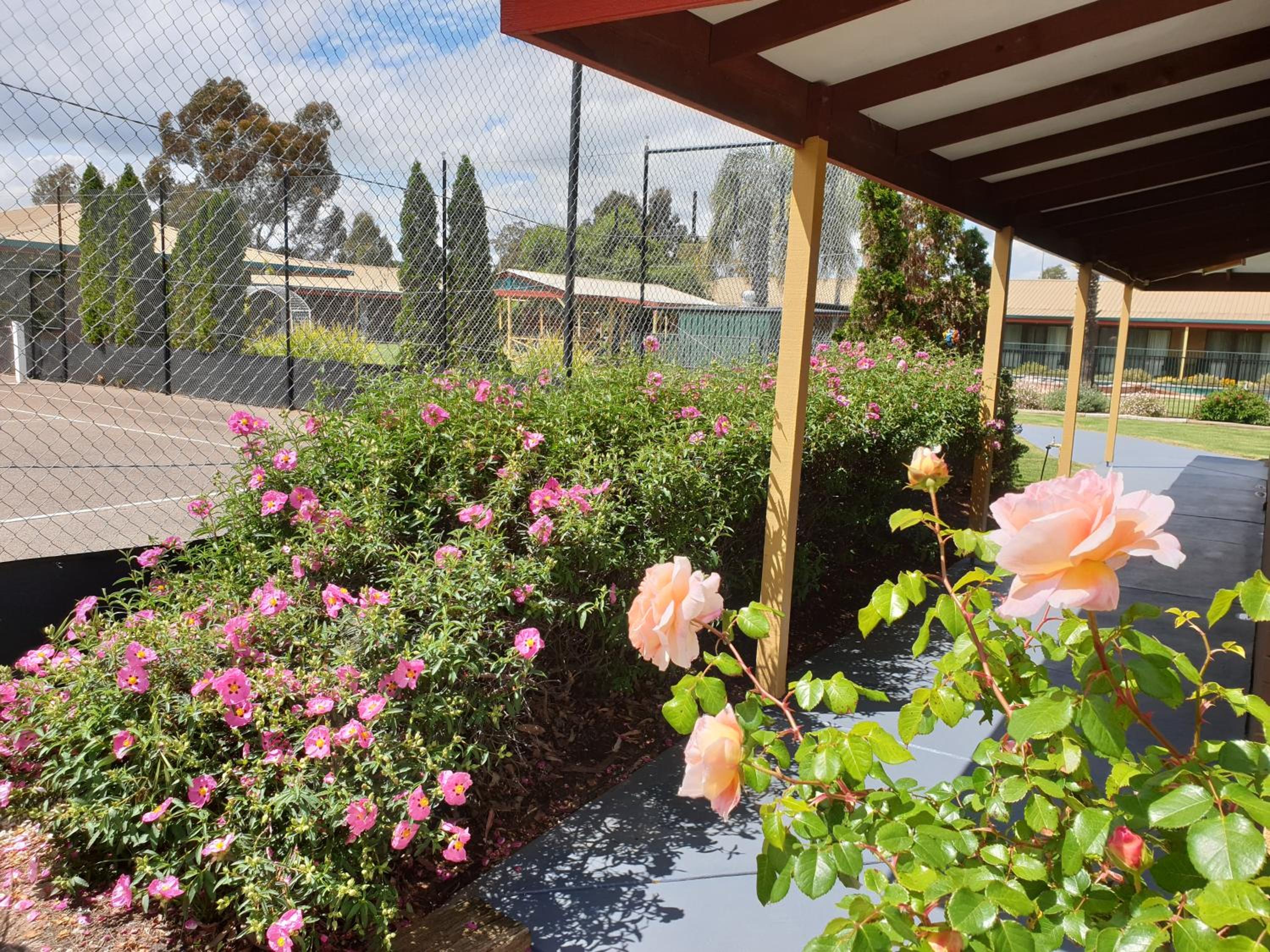 Barooga Country Inn Motel