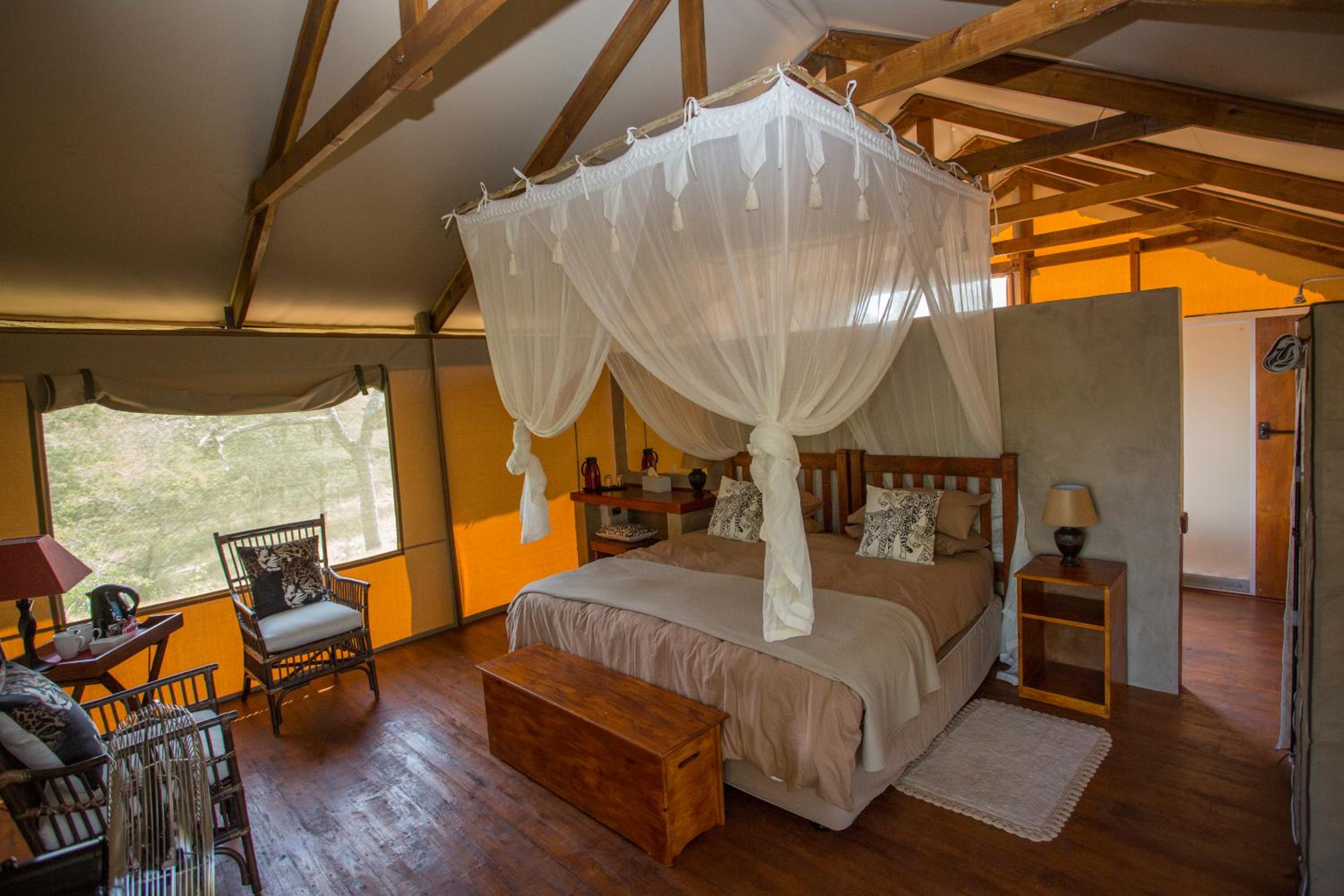 Lion Tree Top Lodge