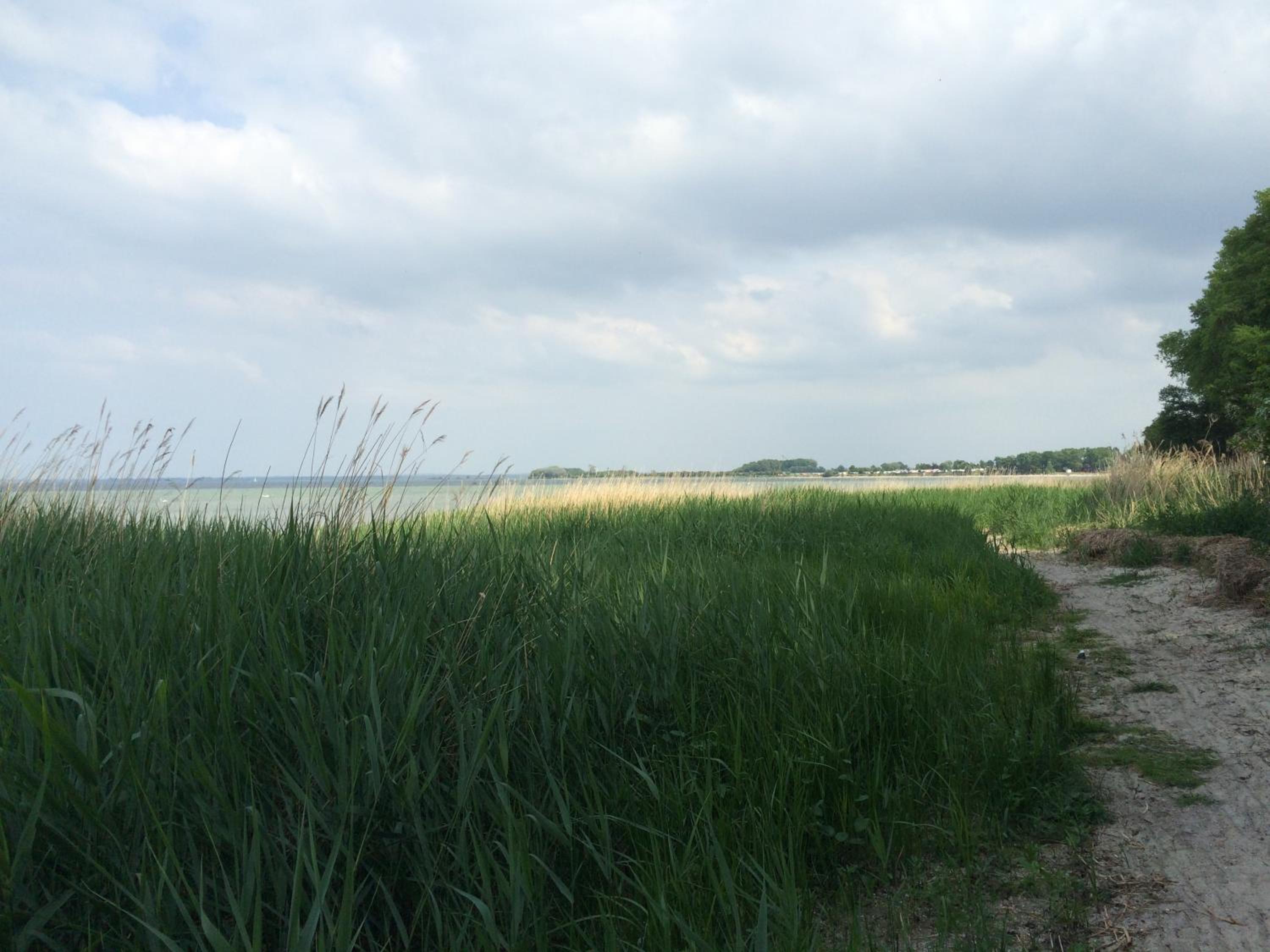 Photo 50