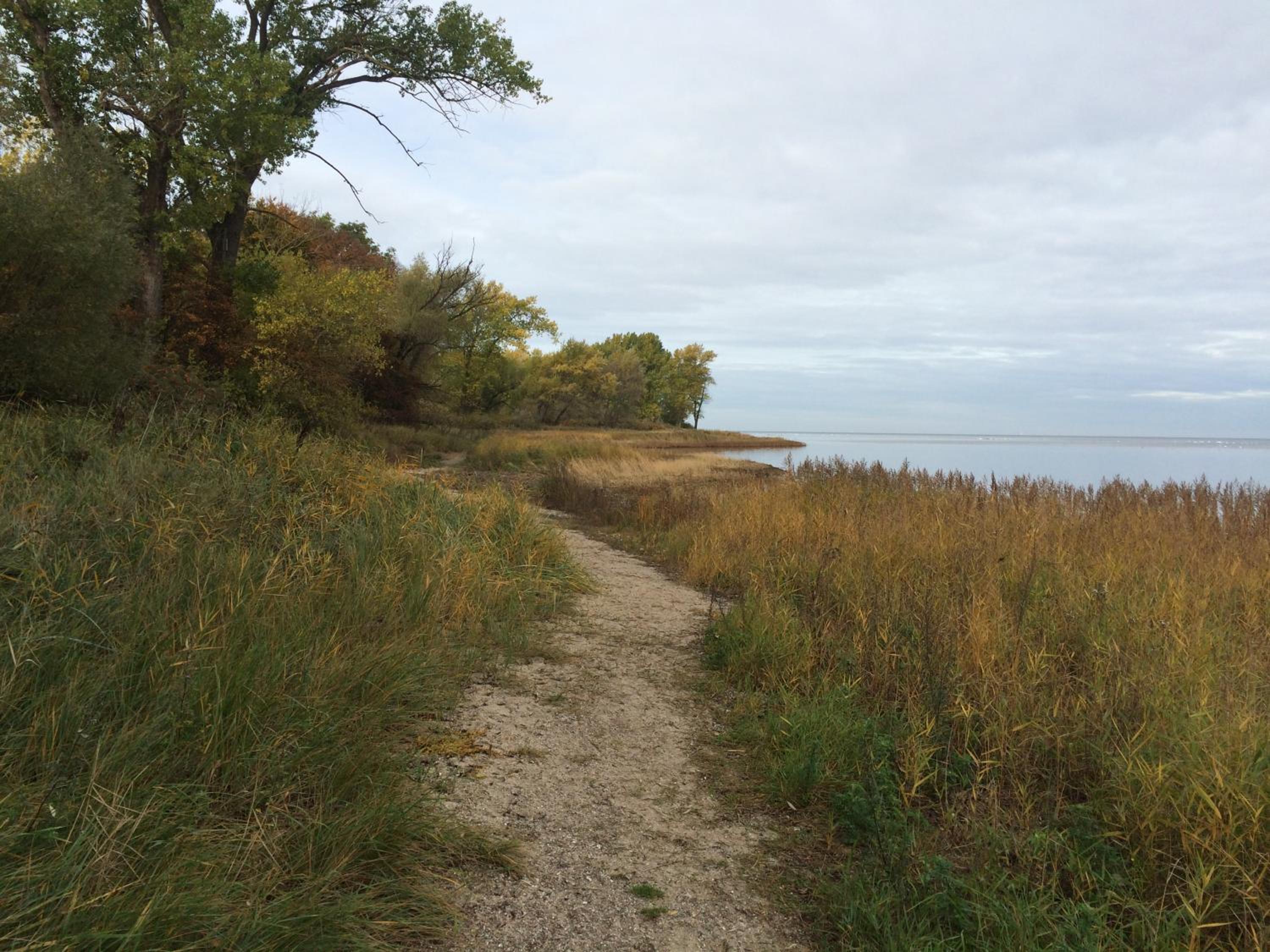Photo 41
