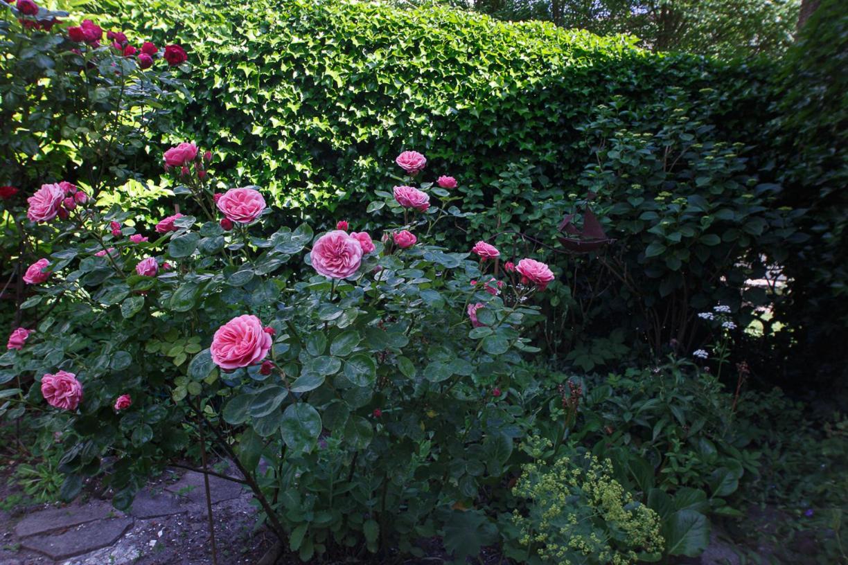 Photo 20