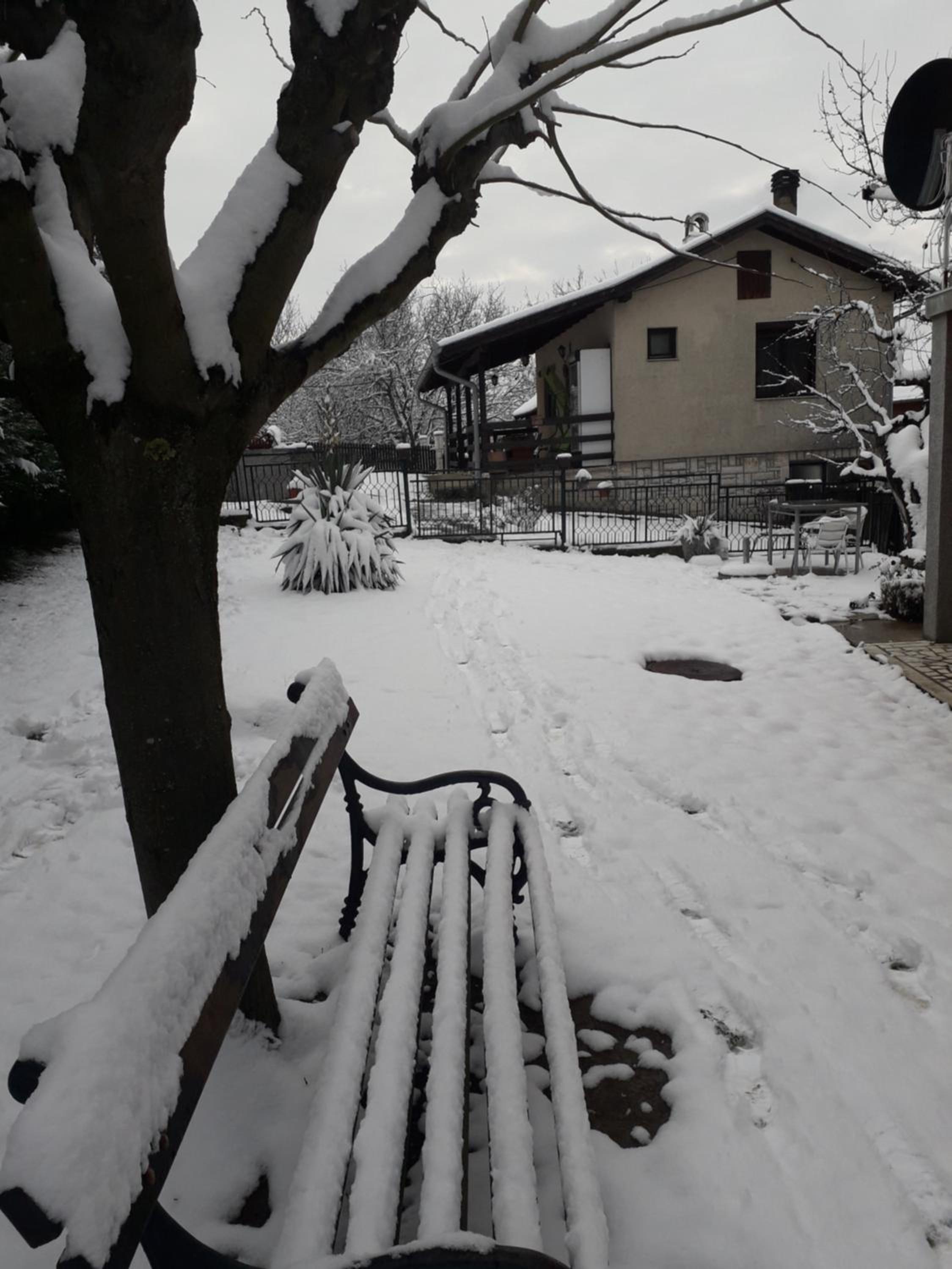 Photo 11