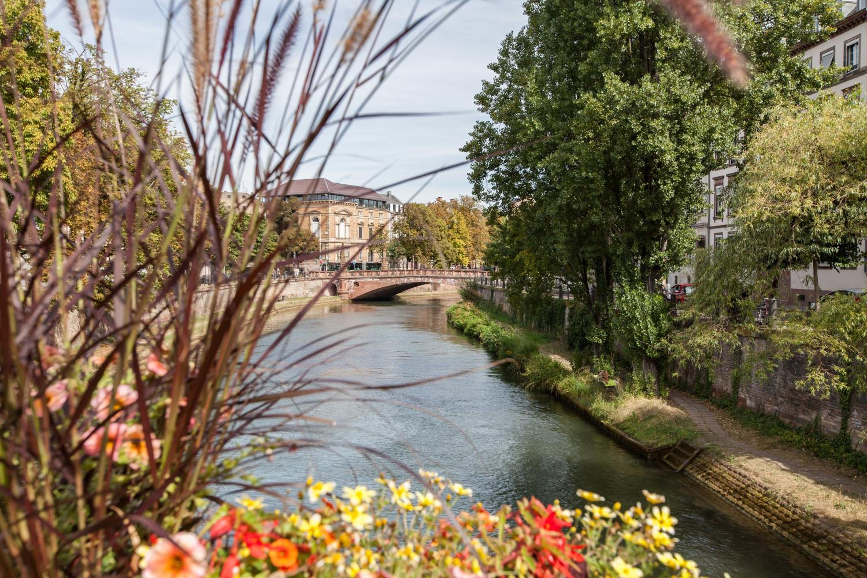 L'Appart du Quai avec Terrasse