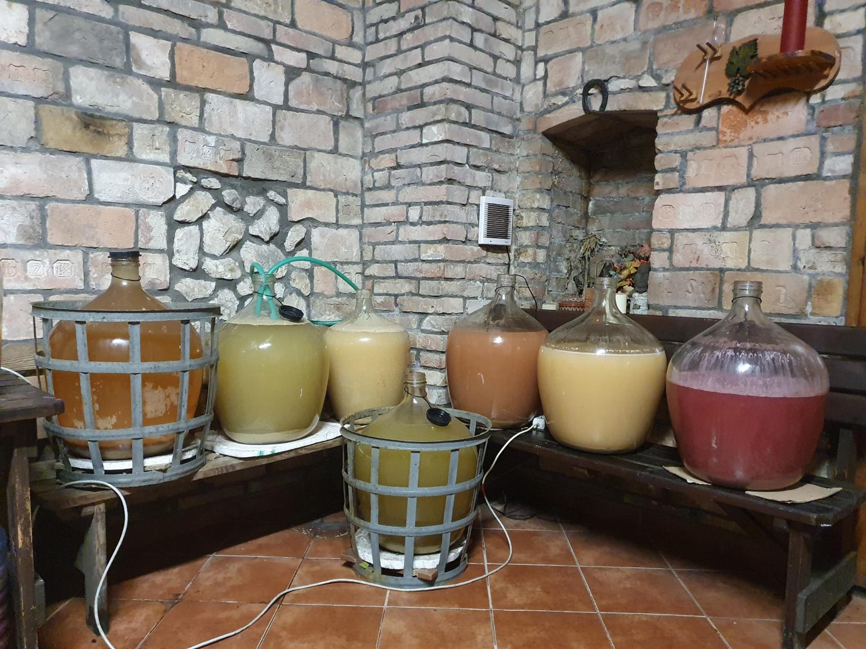 Ubytování U Špačků Pálava