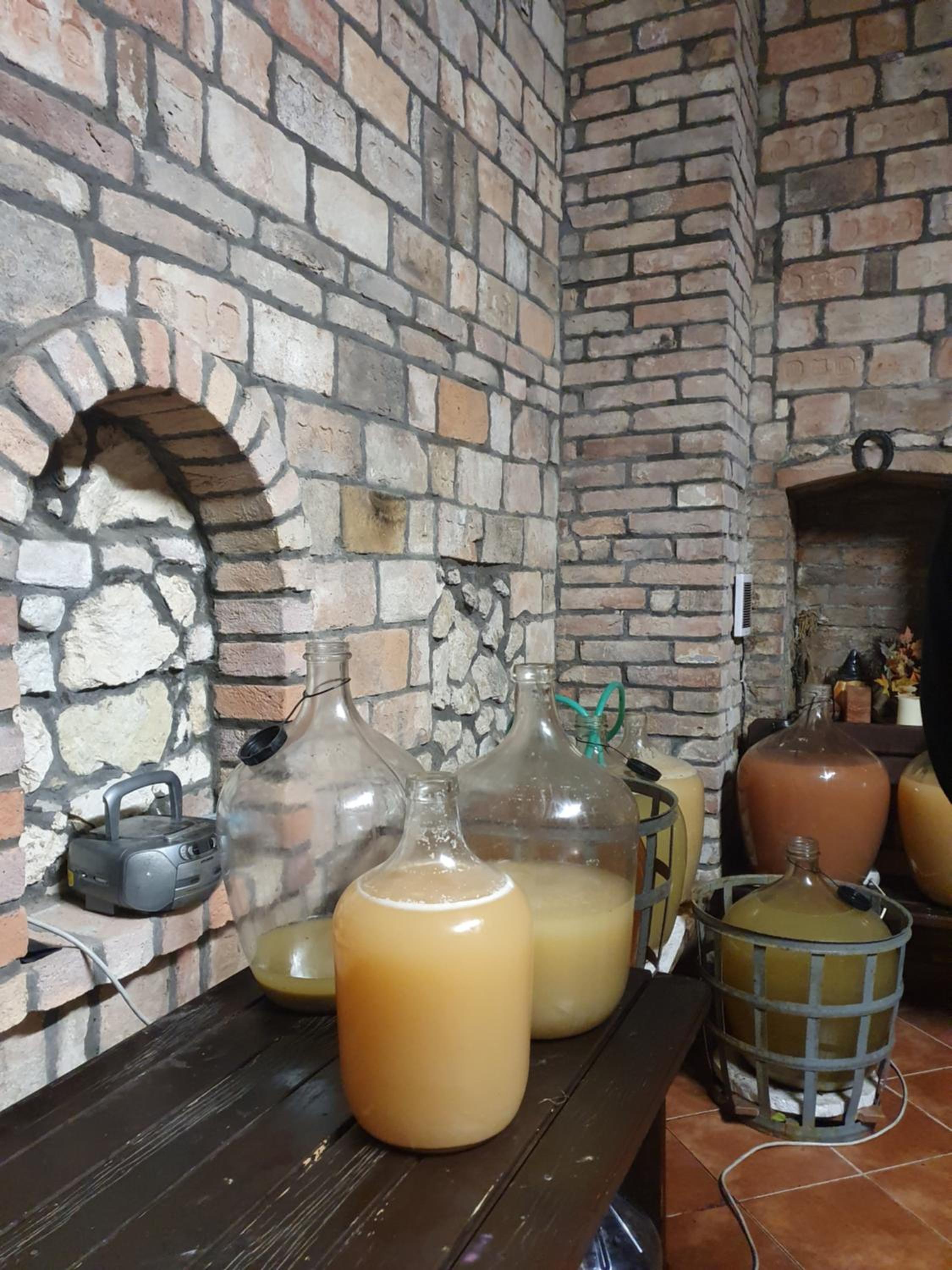 Ubytování U Špačků Pálava