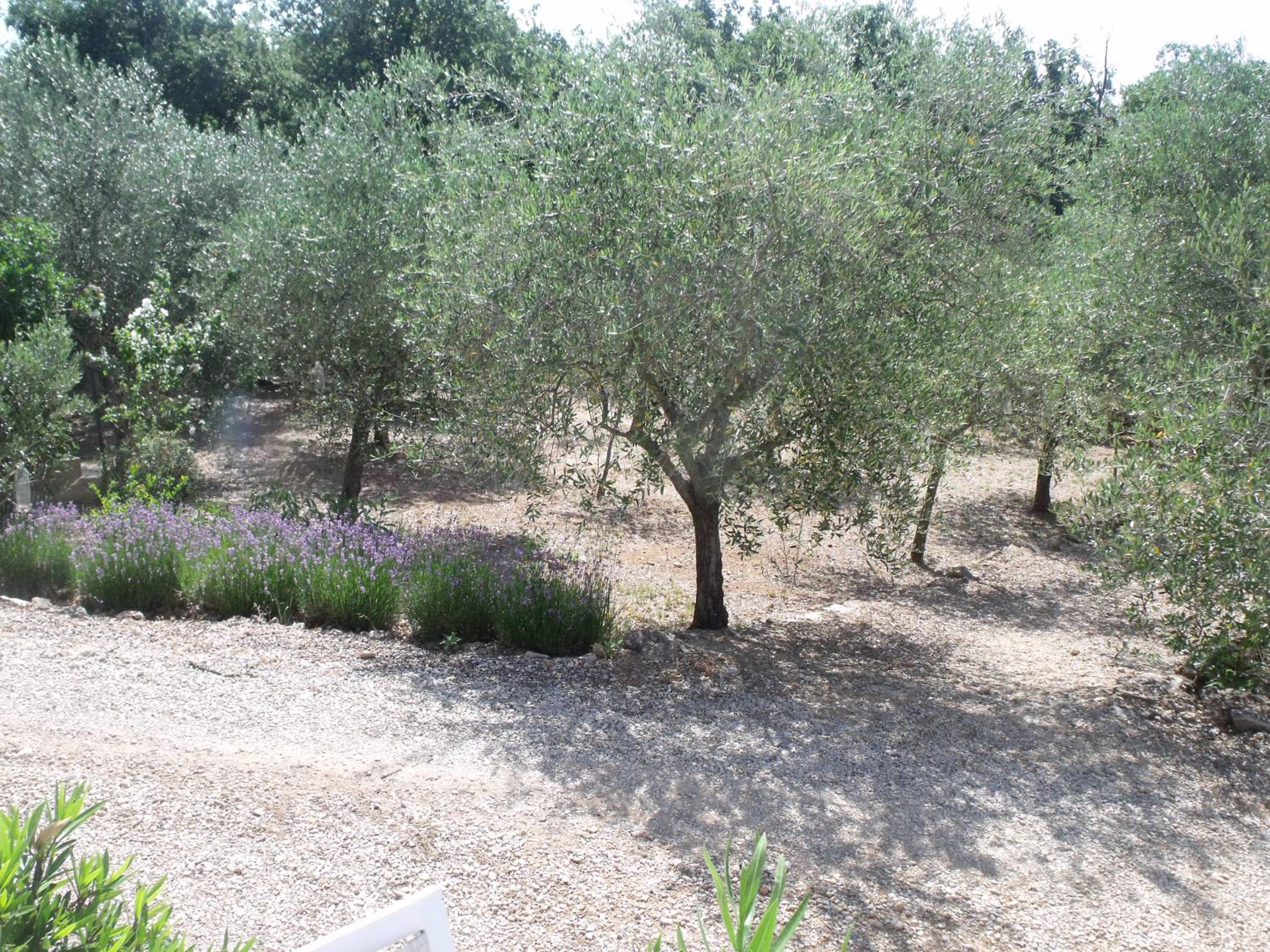 Photo 23