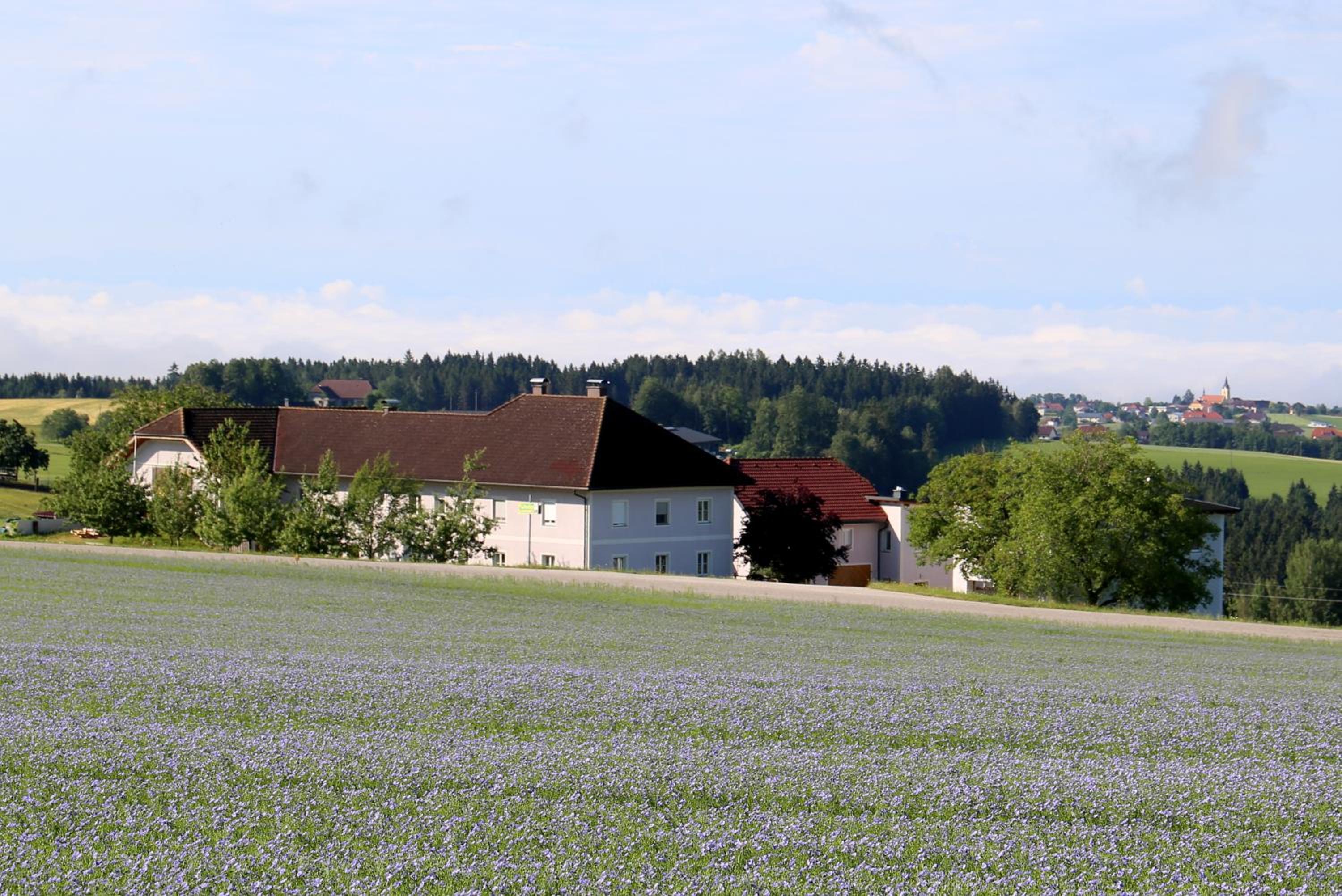 Ferienhof Neundlinger