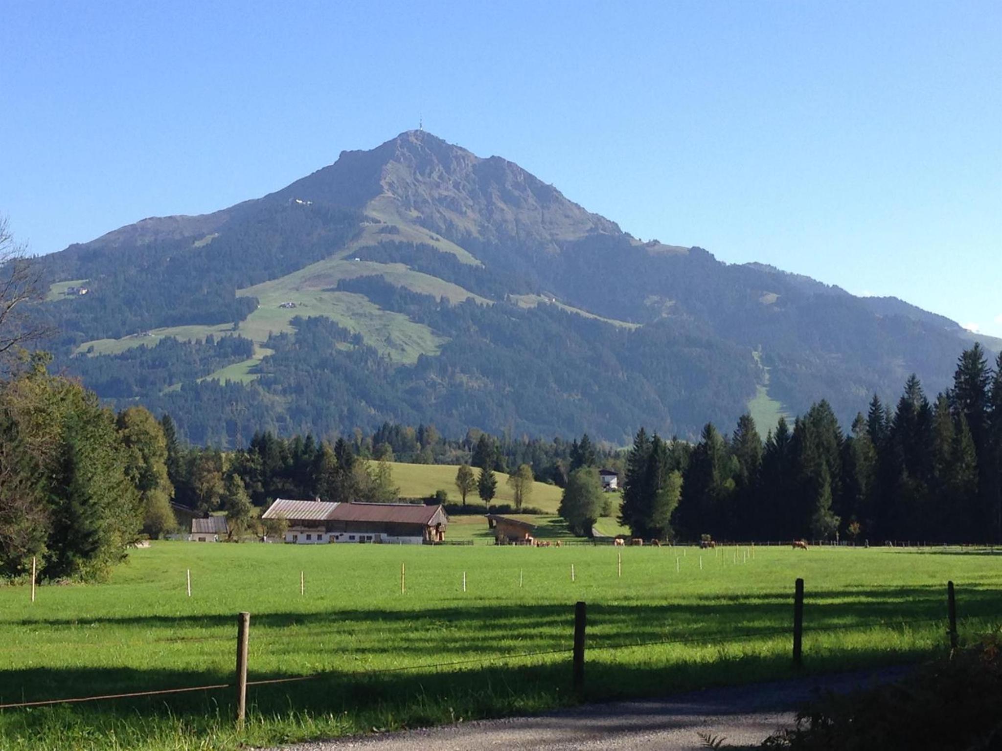 Ferienhaus Chalet Kitzalp