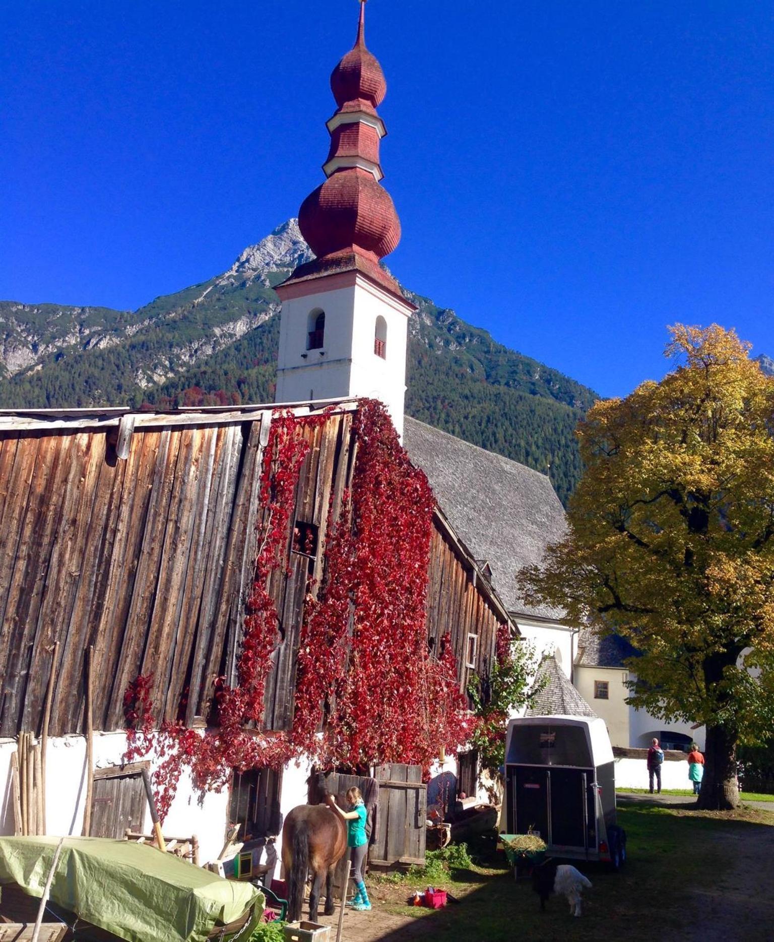 Ferienhaus Chalet Kitzalp