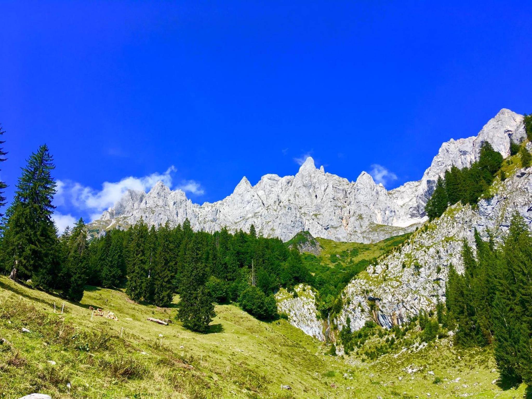 Ferienhaus Chalet Kitzalp