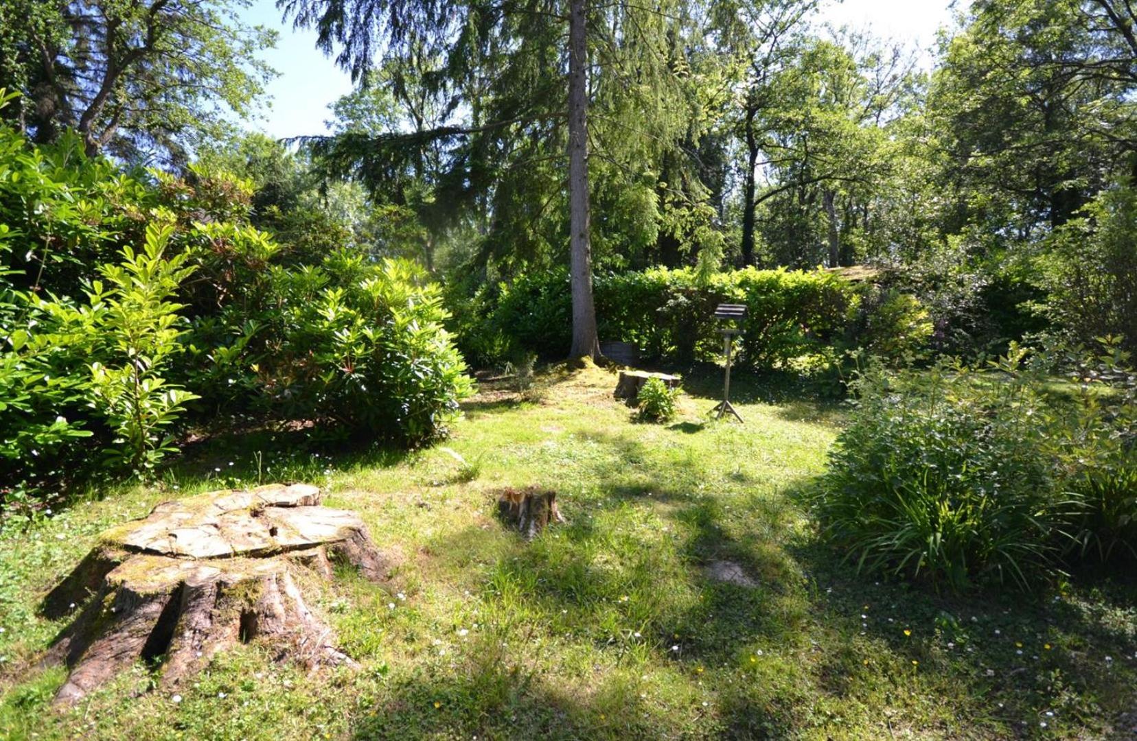 Caban Coetir view 2