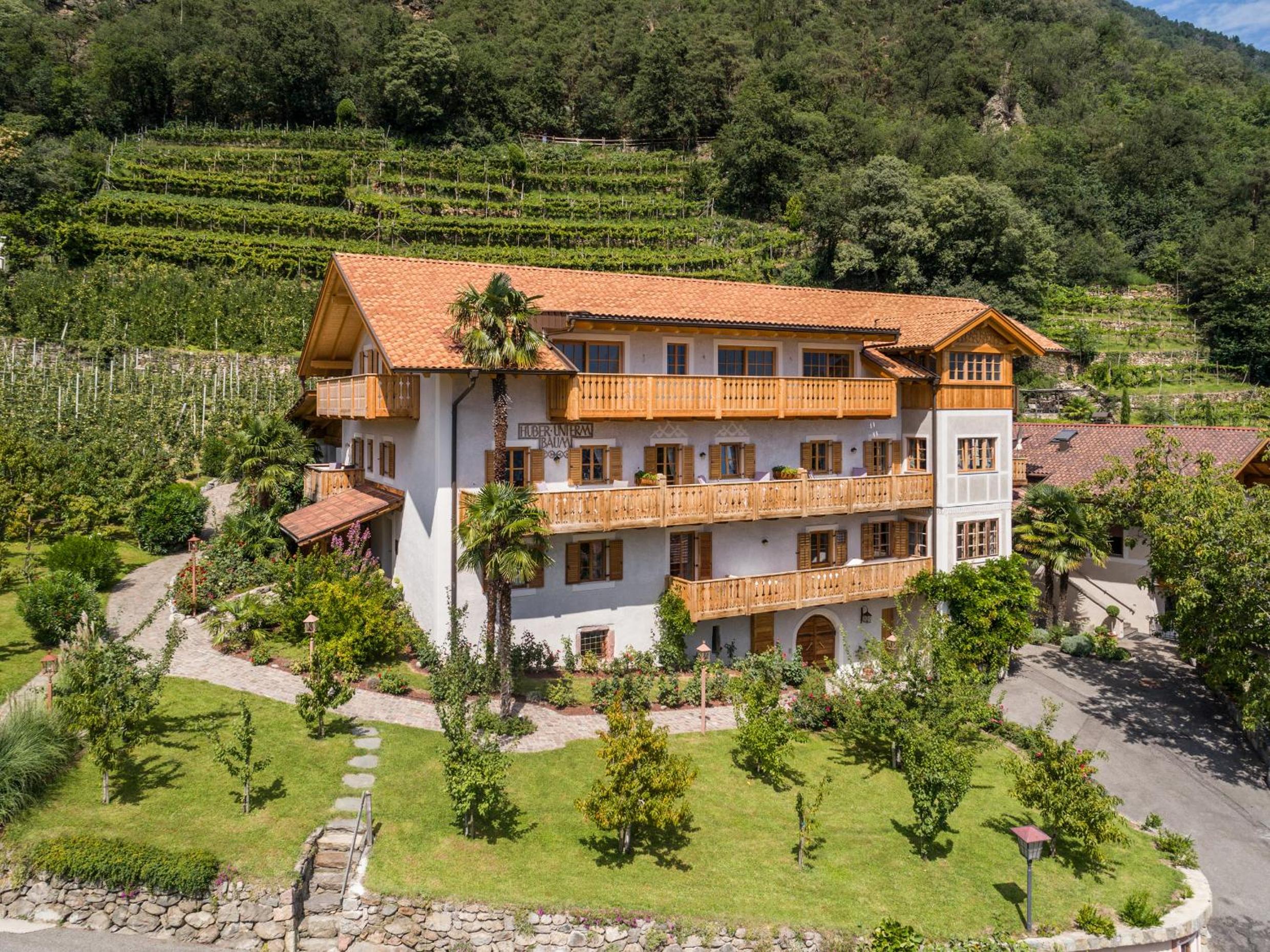 Huber unterm Baum photo 4