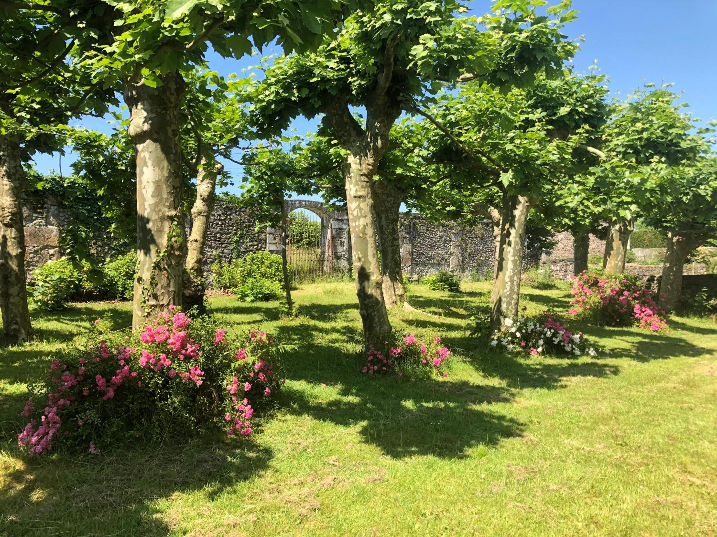 Château Porthos Tranquillité des Pyrénées