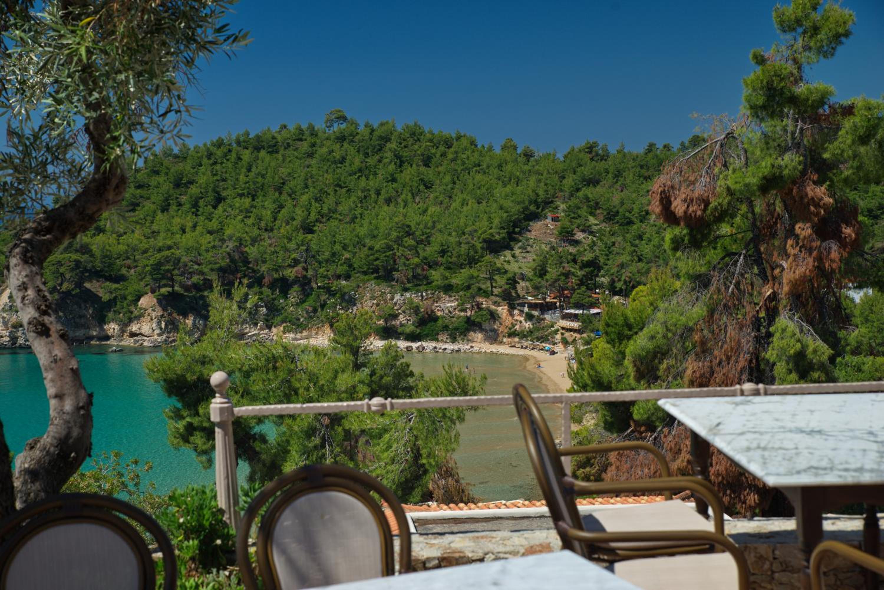 Alonissos Beach Bungalows And Suites Hotel