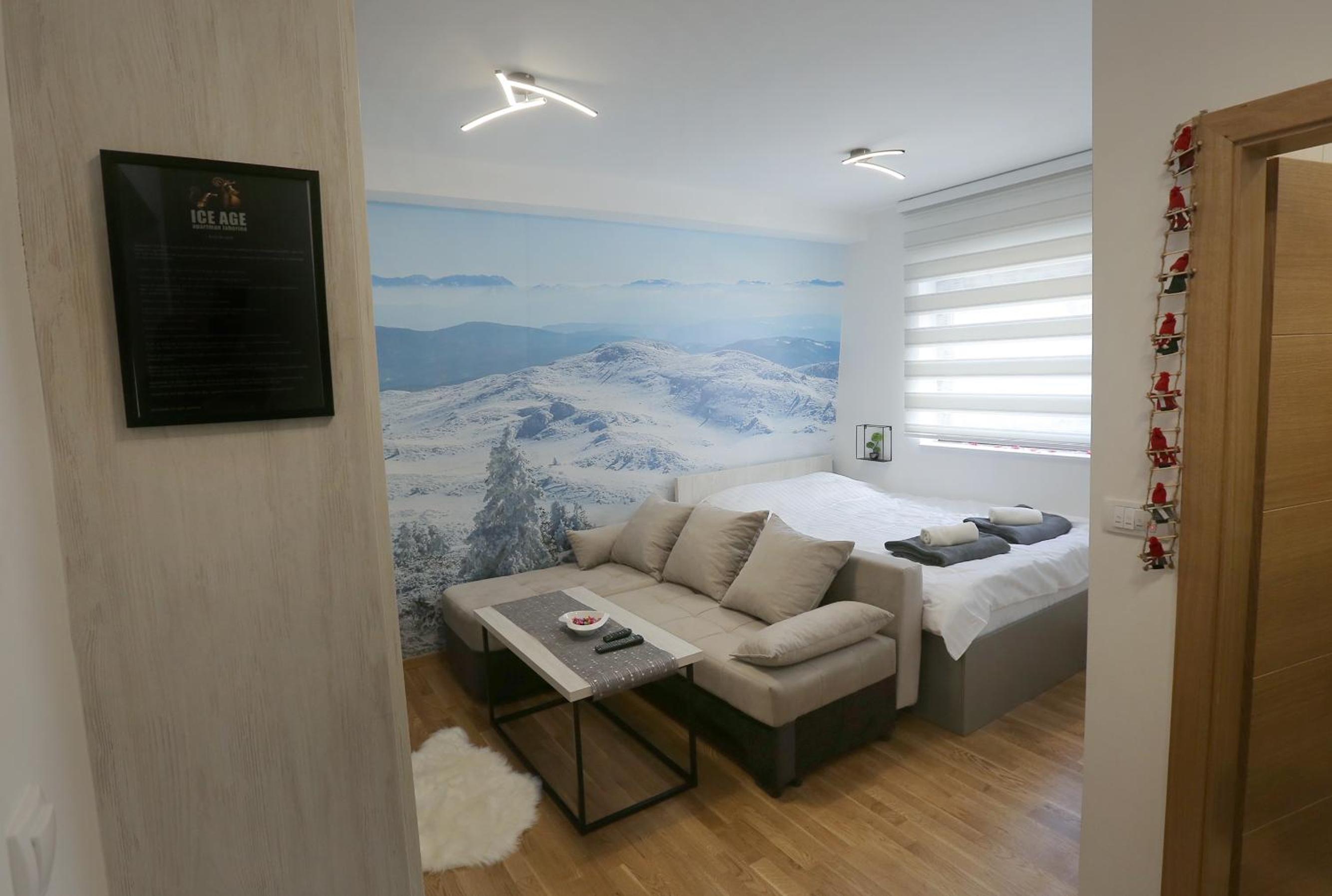 Apartman Ice age Jahorina view 2