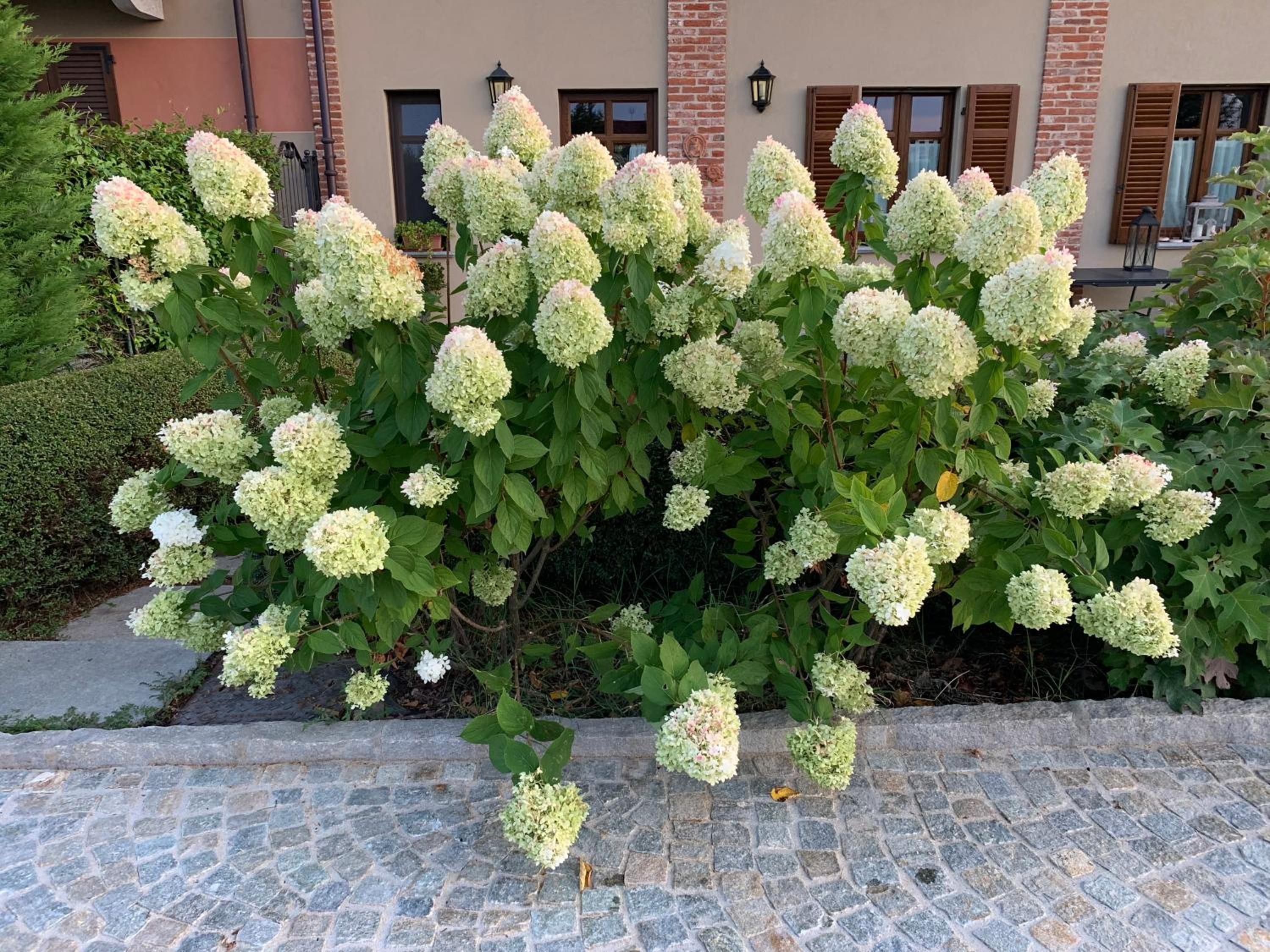 Agriturismo Sarmore