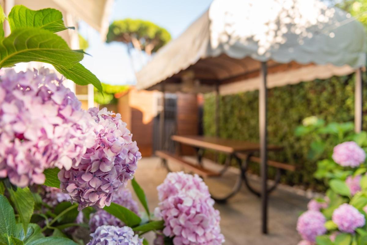 APARTMENT HOLIDAY VERSILIA view 4