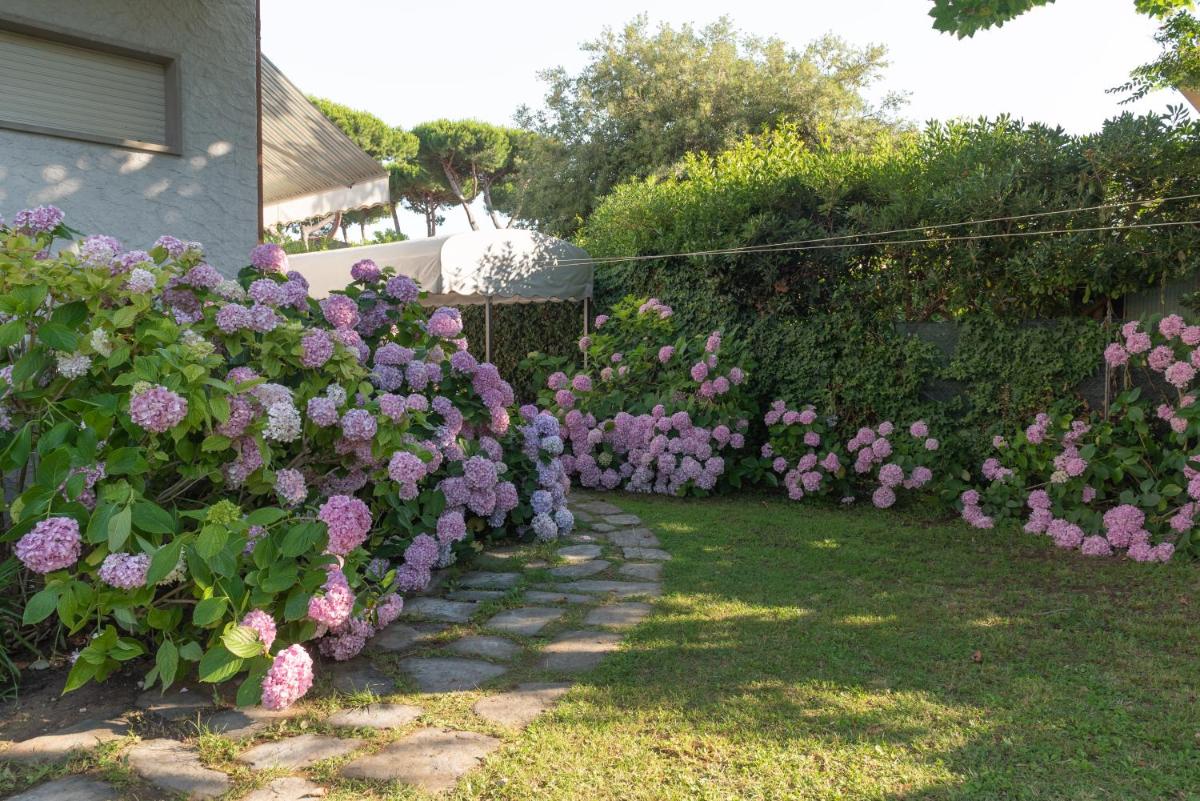 Photo 28