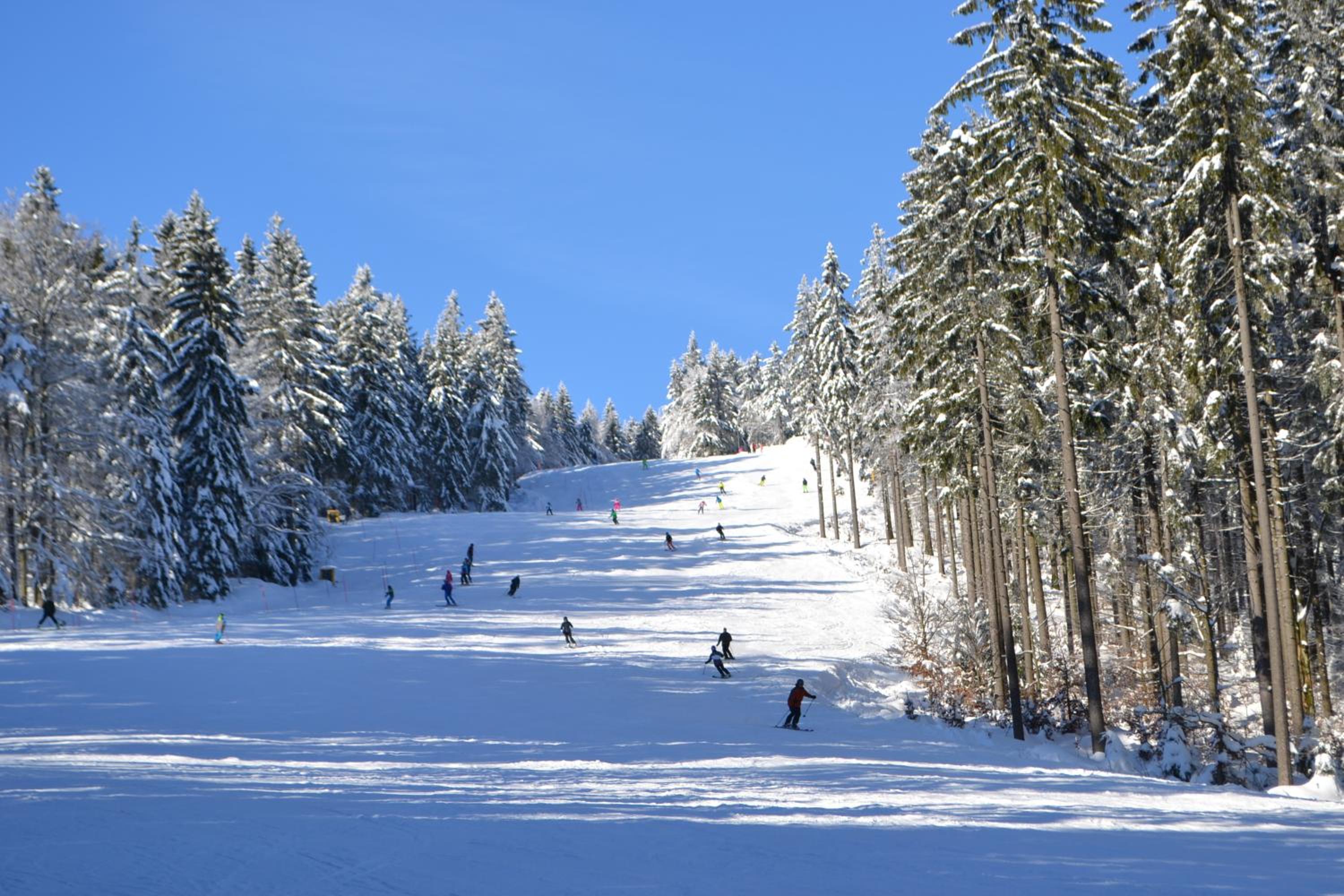 Skiapartma - Říčky v Orlických horách