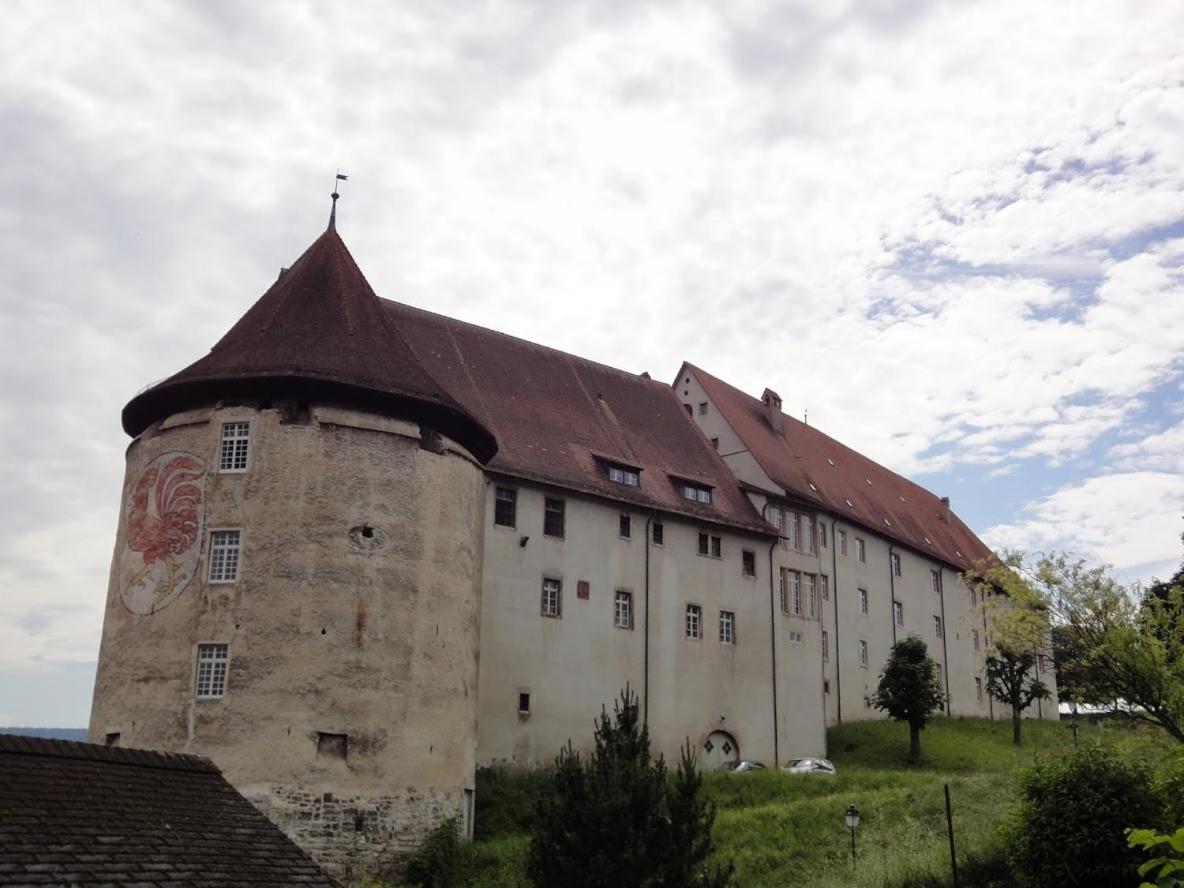 Photo 24