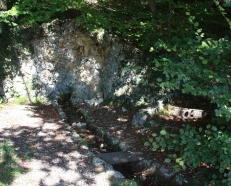Photo 32