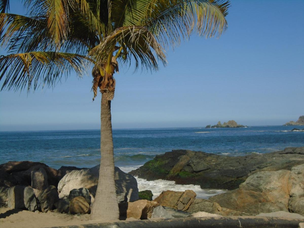 Photo 44