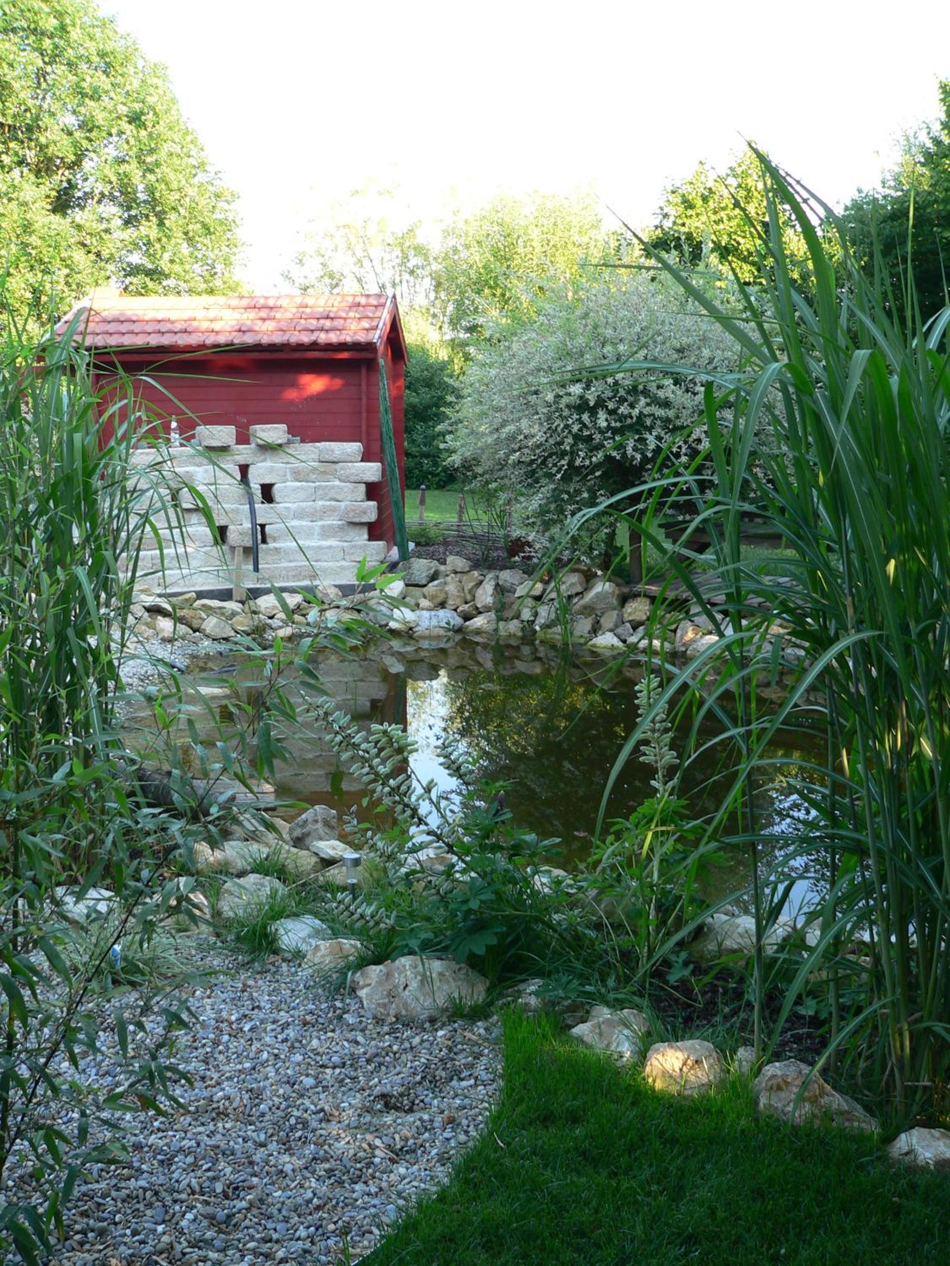 Photo 19