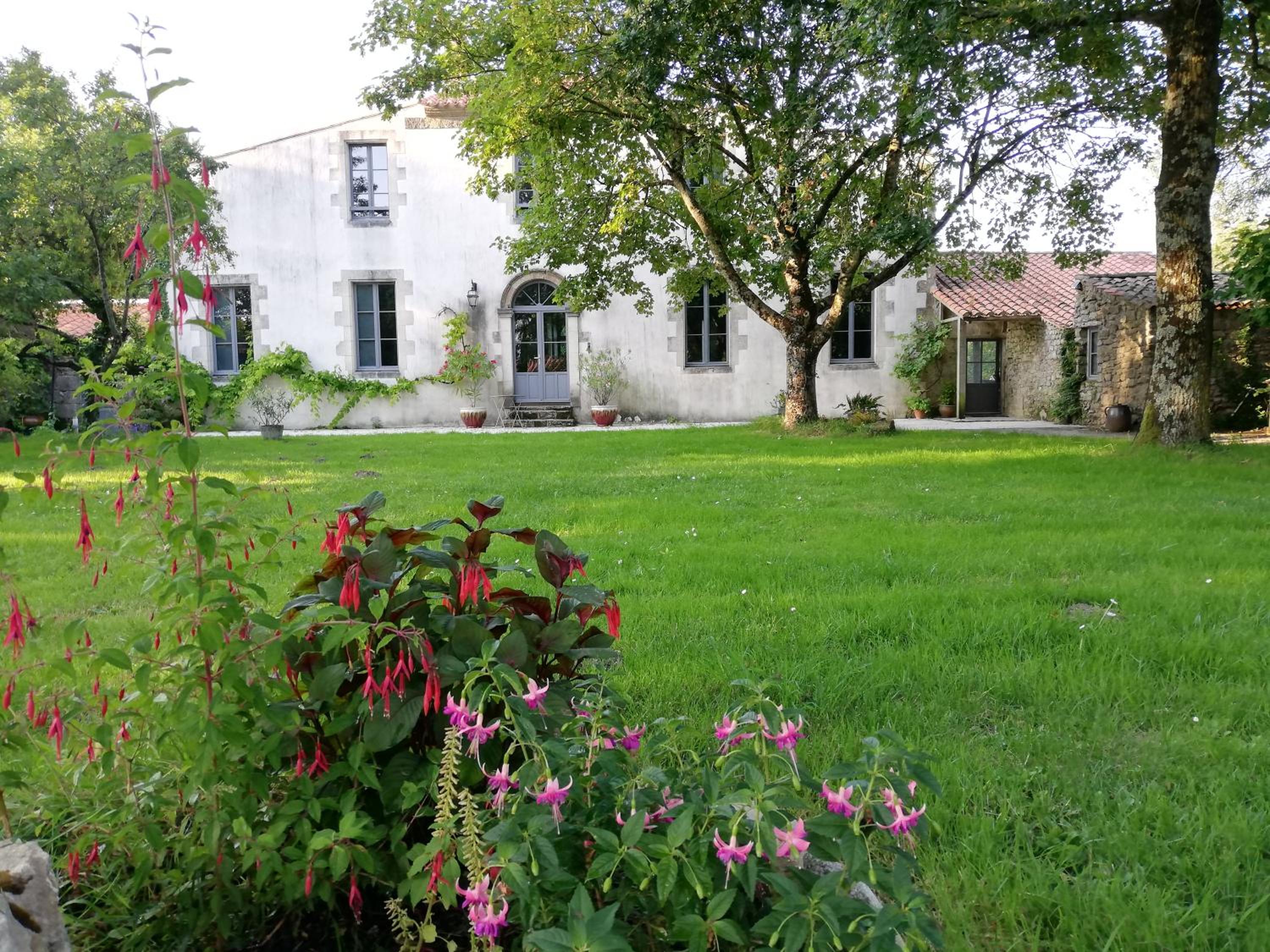 Photo 31