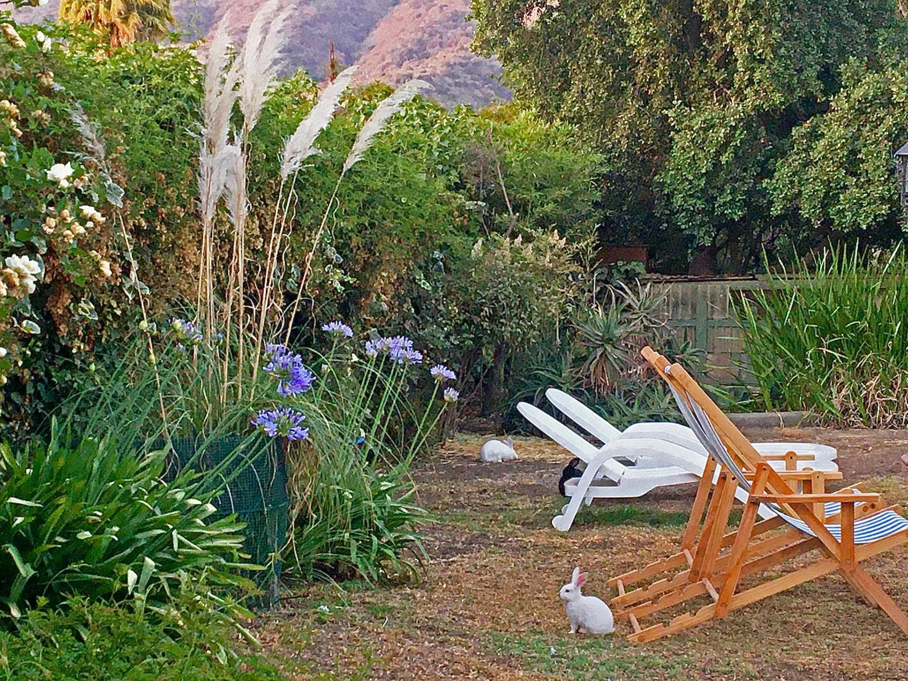 Novaqua Bed & Breakfast