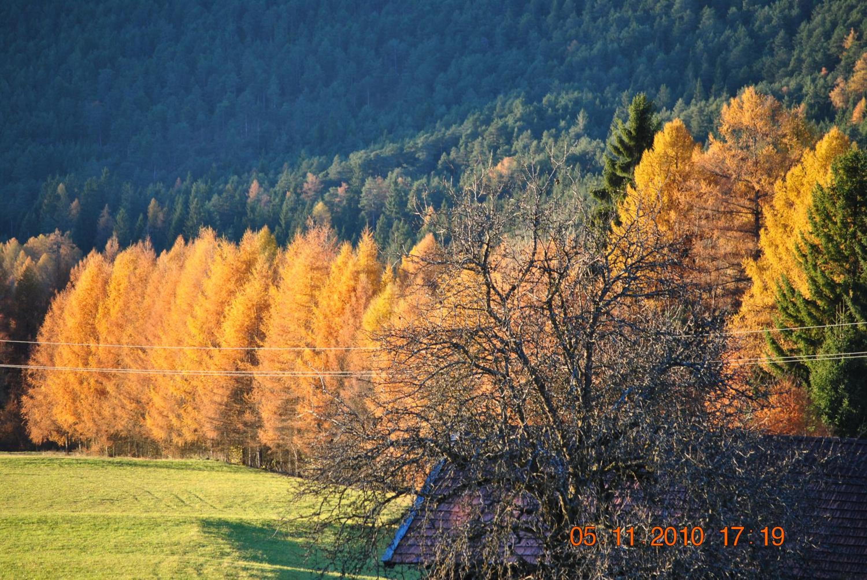 Gasthof Panorama