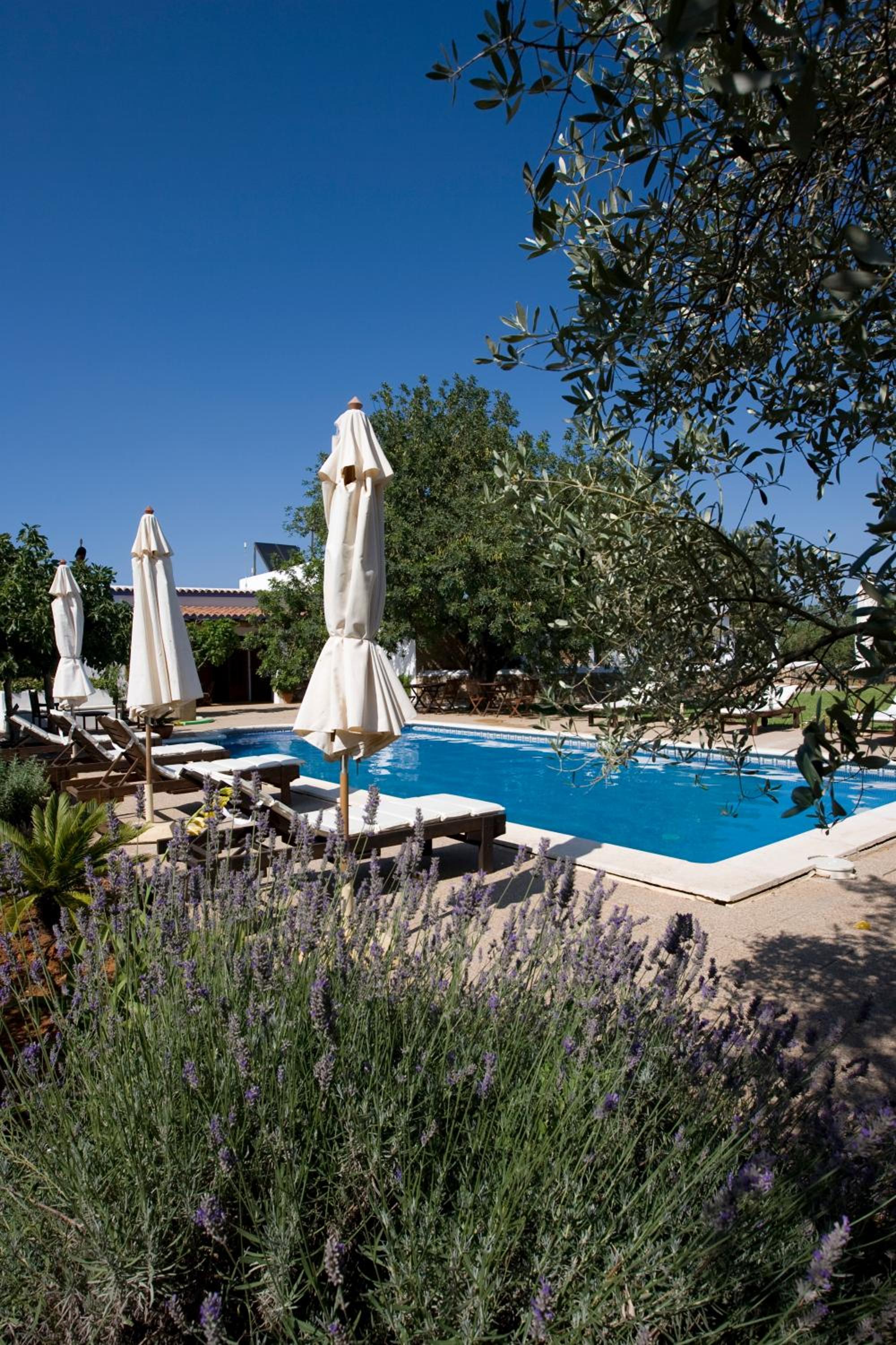Agroturismo Sa Vinya d'en Palerm