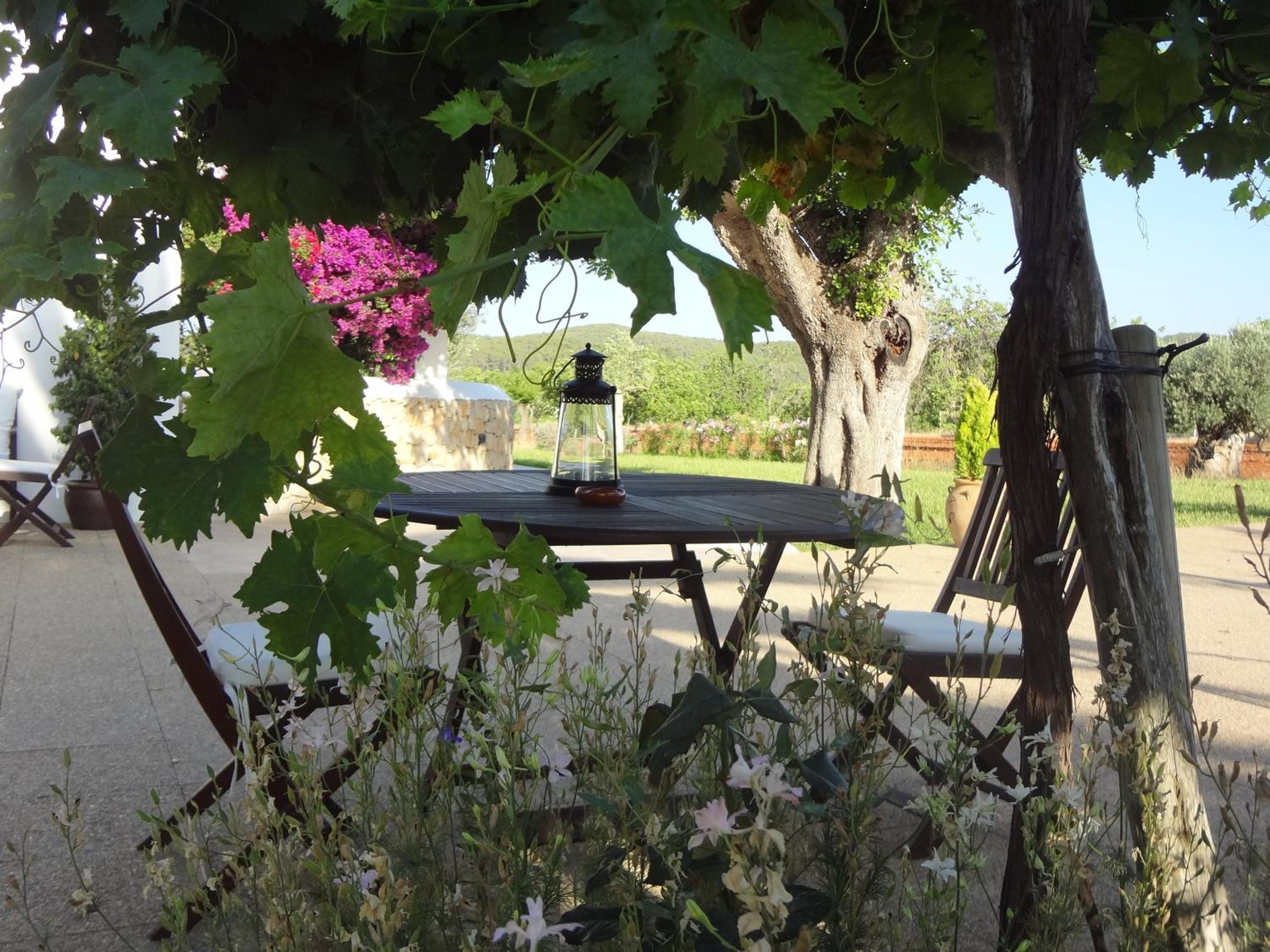 Agroturismo Sa Vinya d'en Palerm