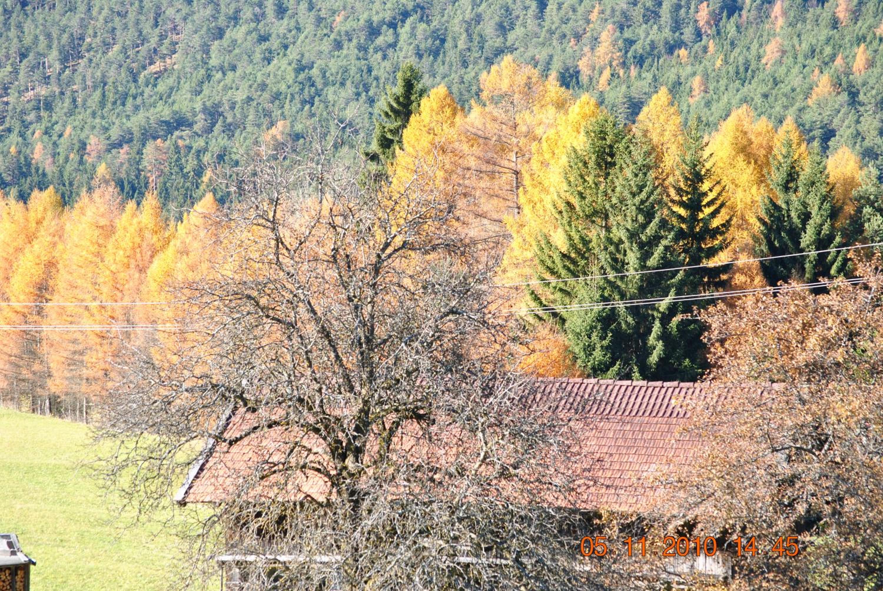Gasthof Panorama