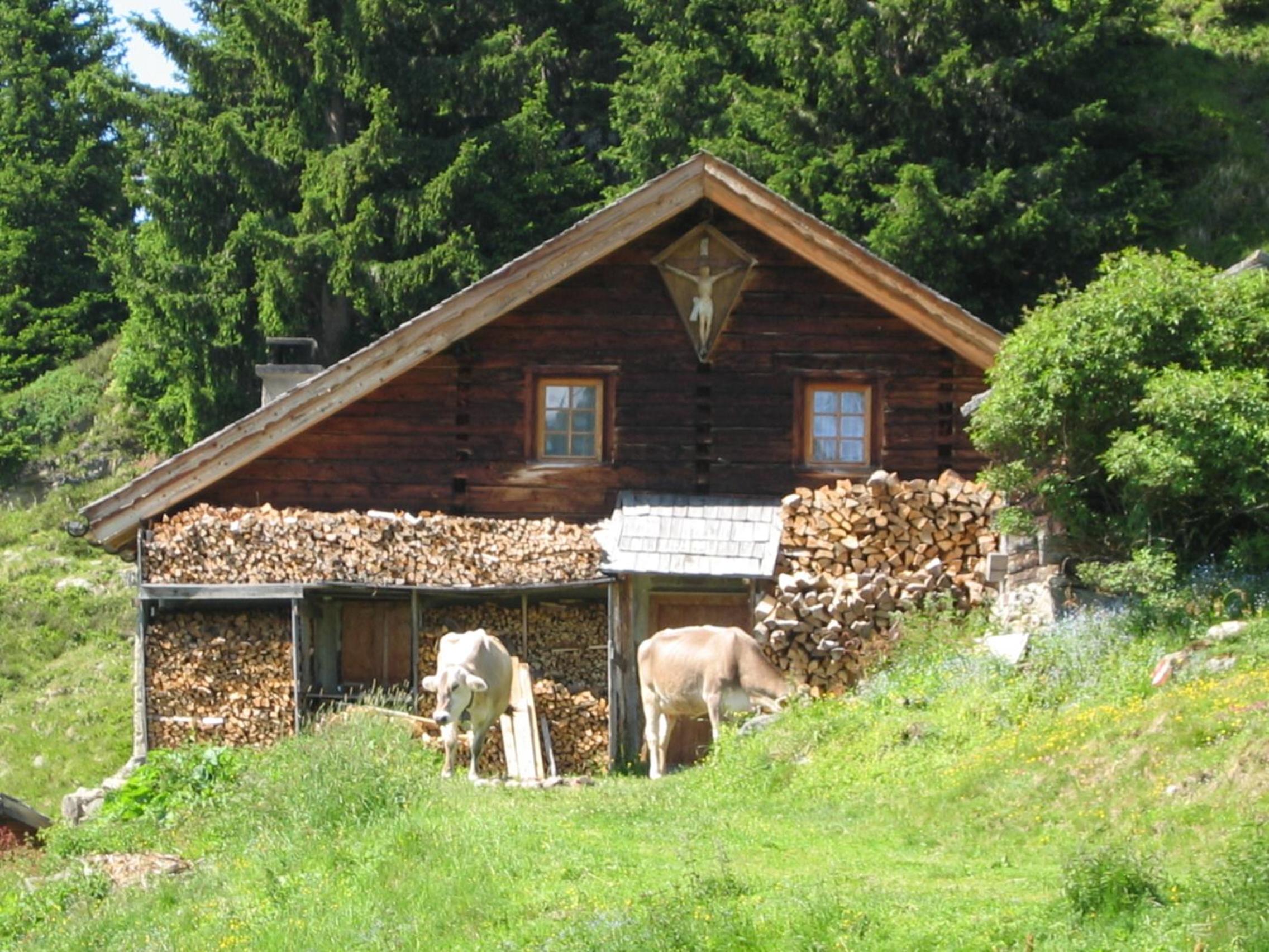 Photo 29