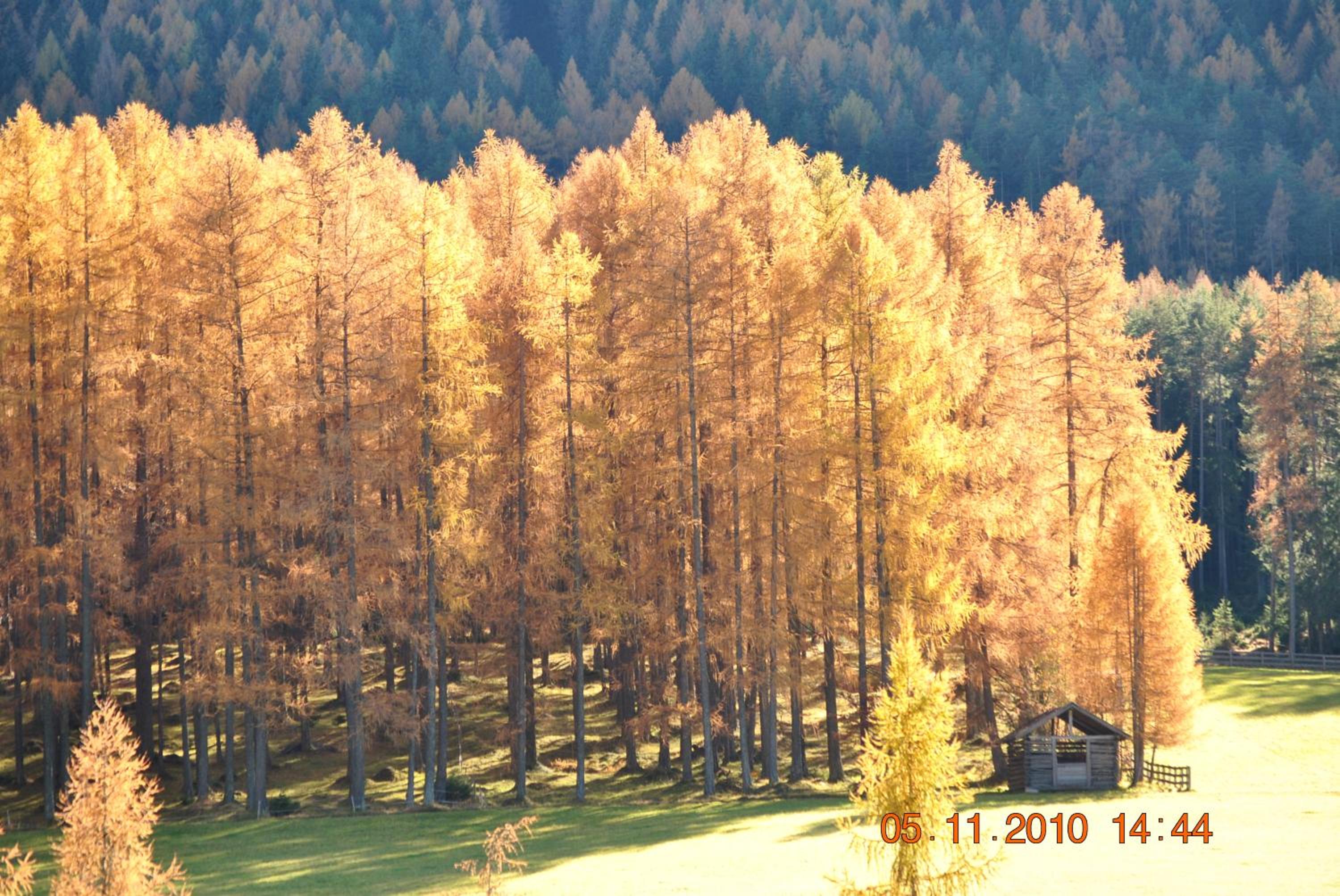 Gasthof Panorama