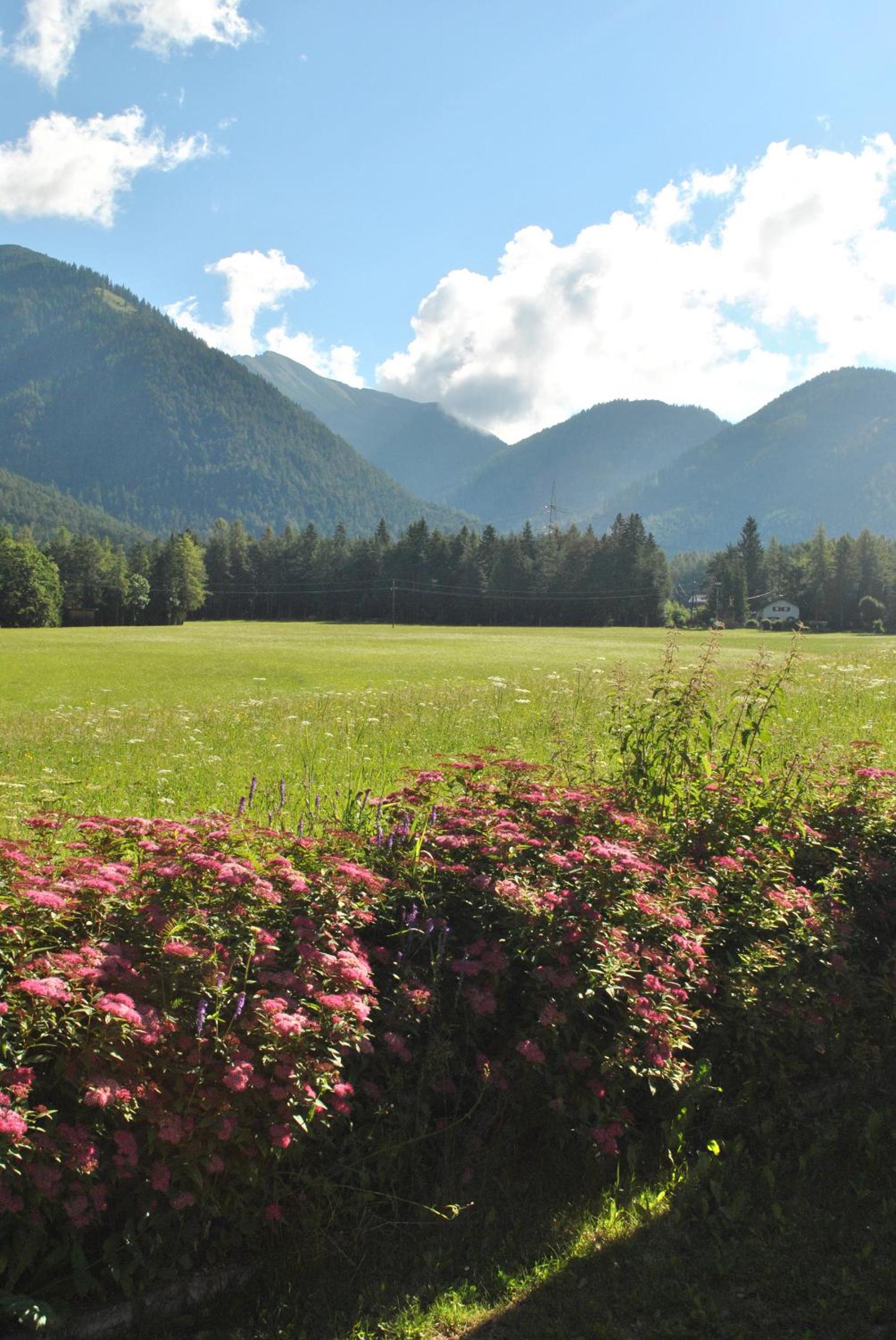 Gasthof Panorama