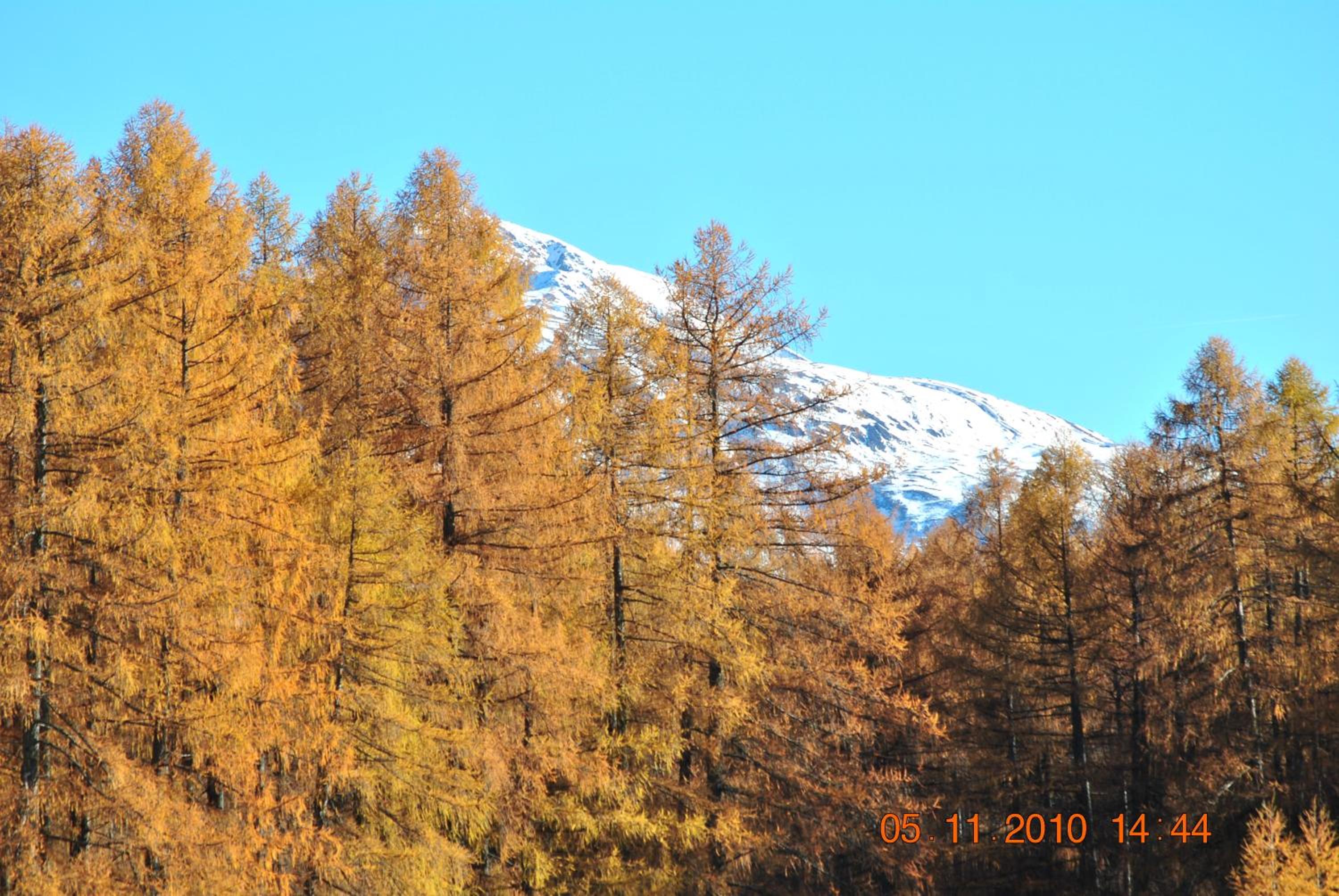 Gasthof Panorama