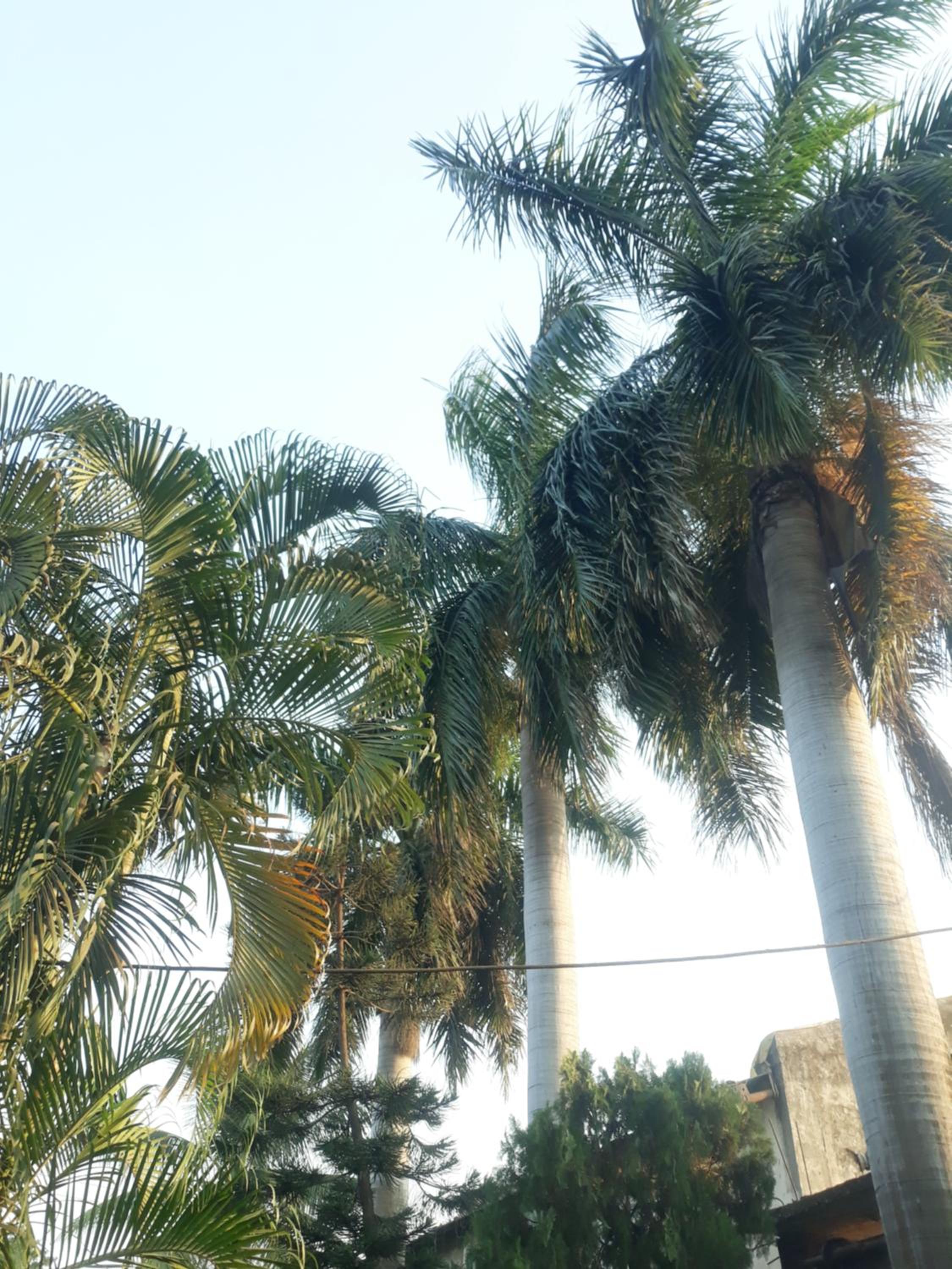 Mahadev Guest House