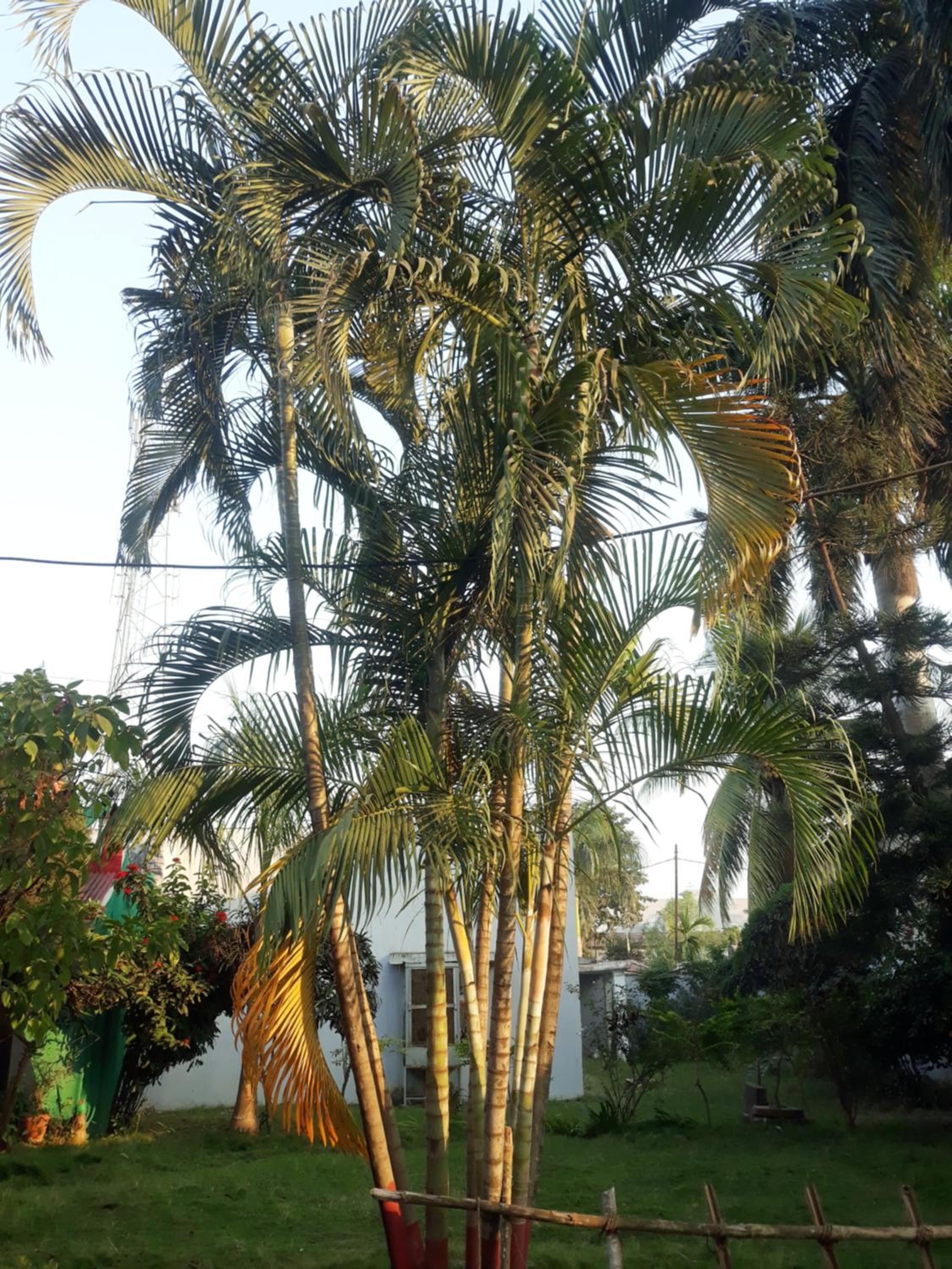 Mahadev Guest House