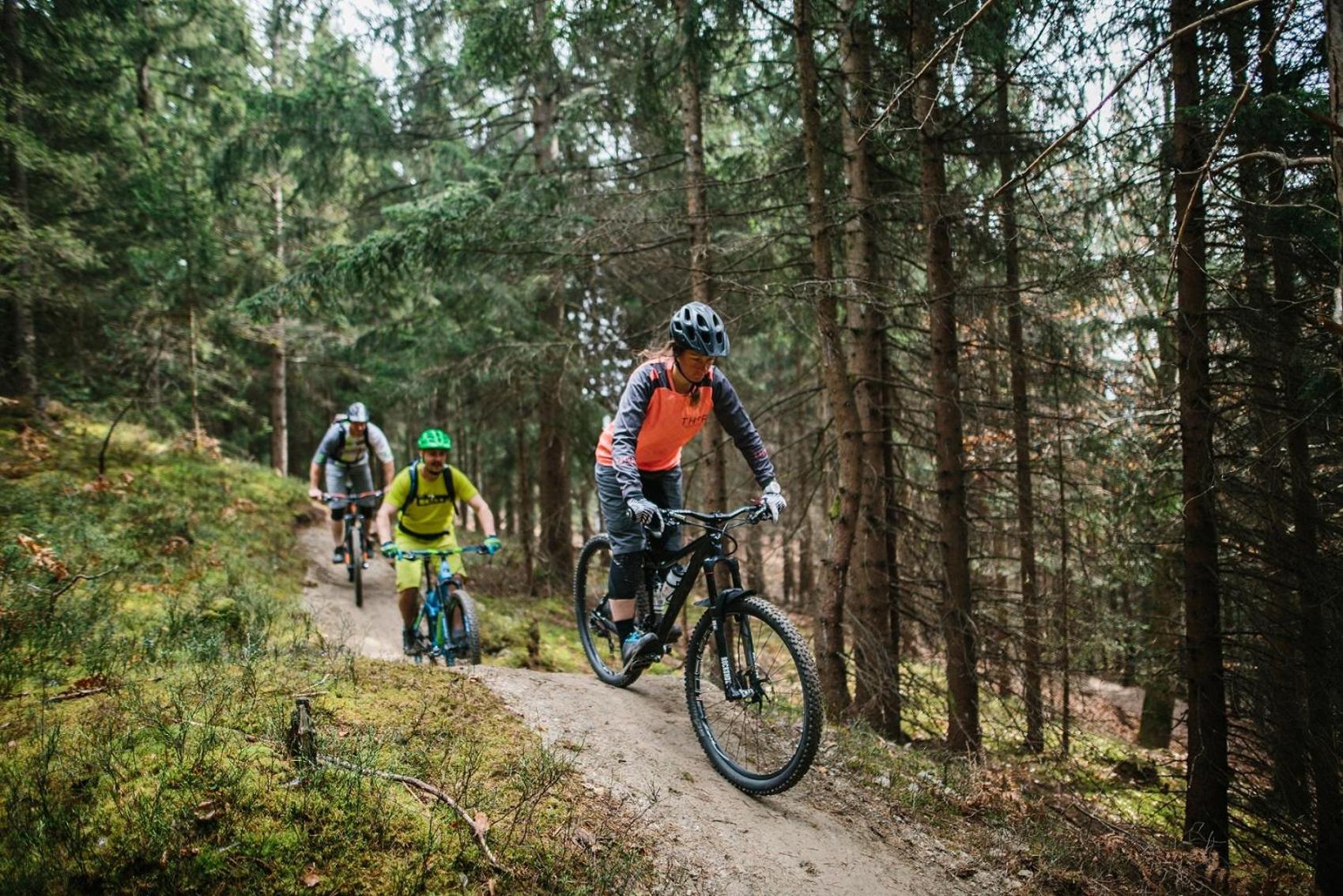 Seecamping Berghof - Mobilheime