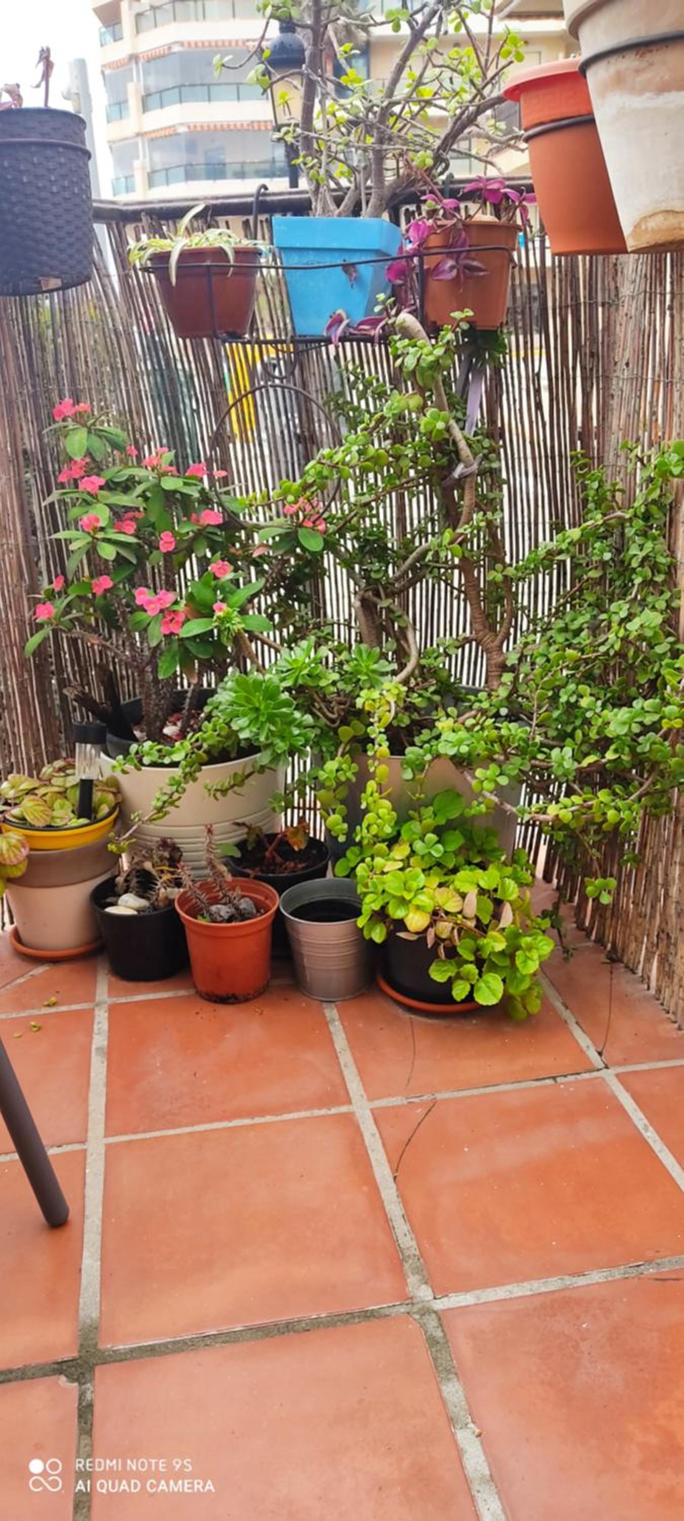 Apartamento Turístico FlorHouse