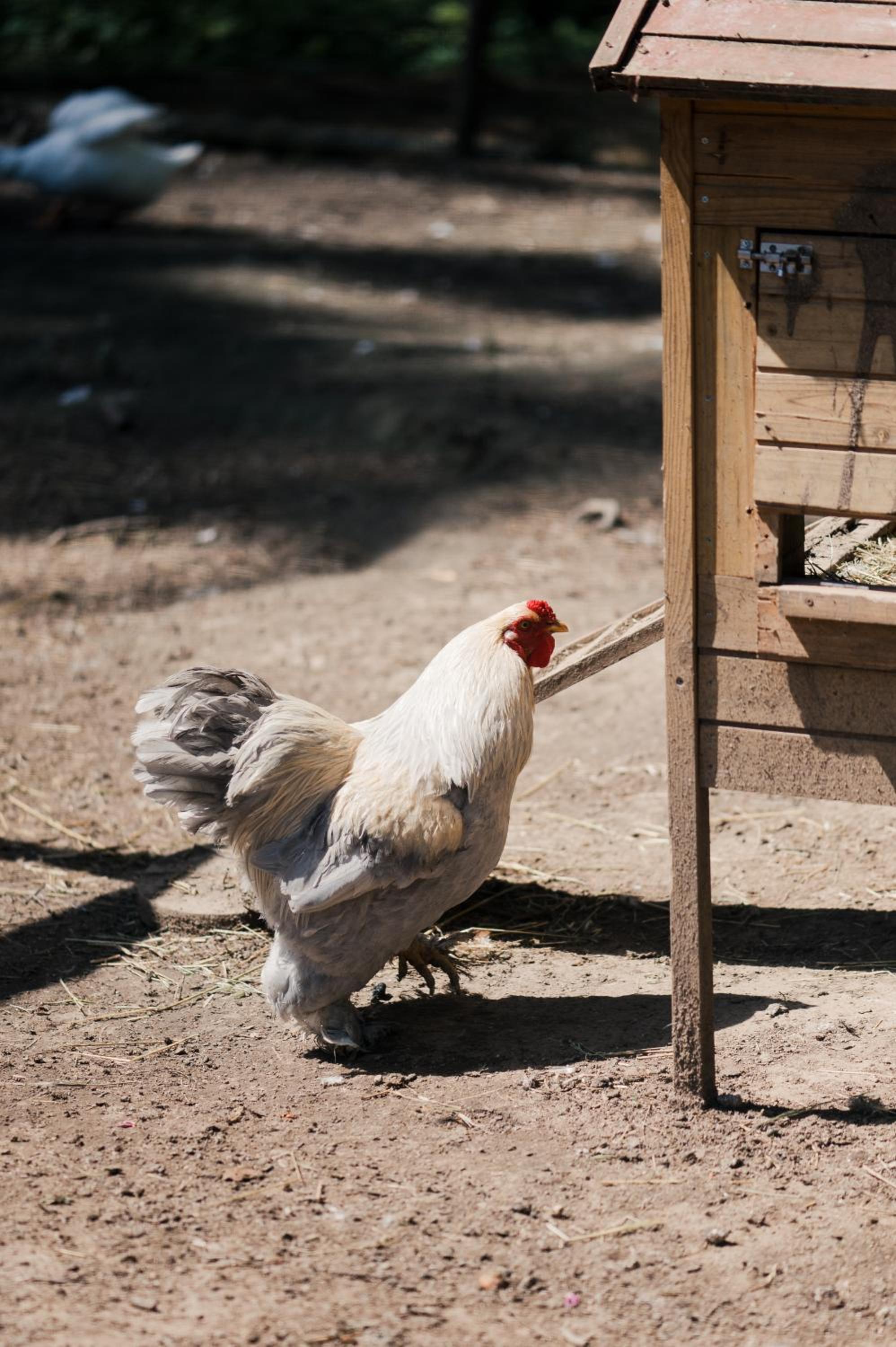 Agriturismo Ma Che Bel Castello